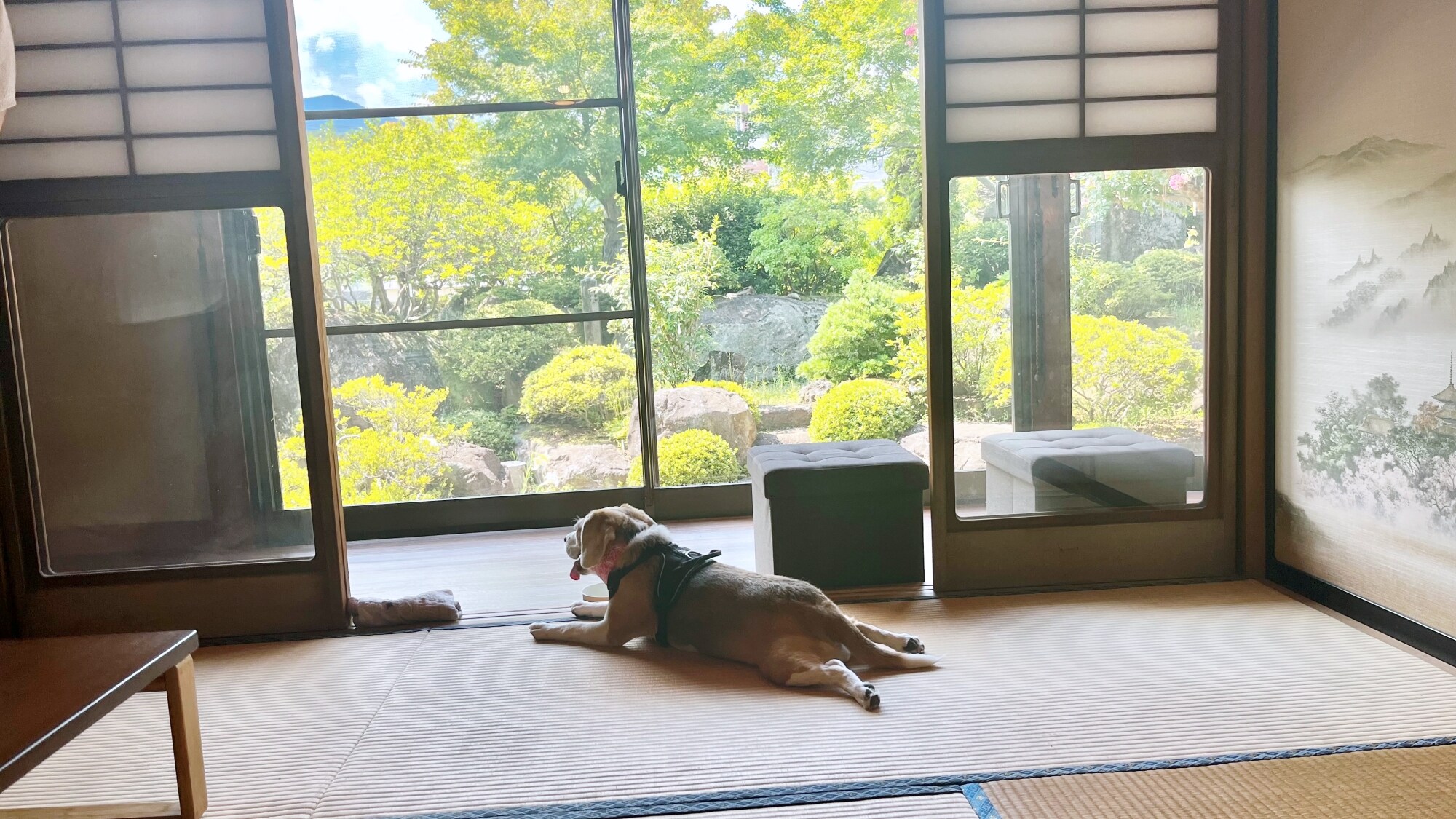 *＜花園洋房＞房間（例） 和愛犬一起在房間放鬆。