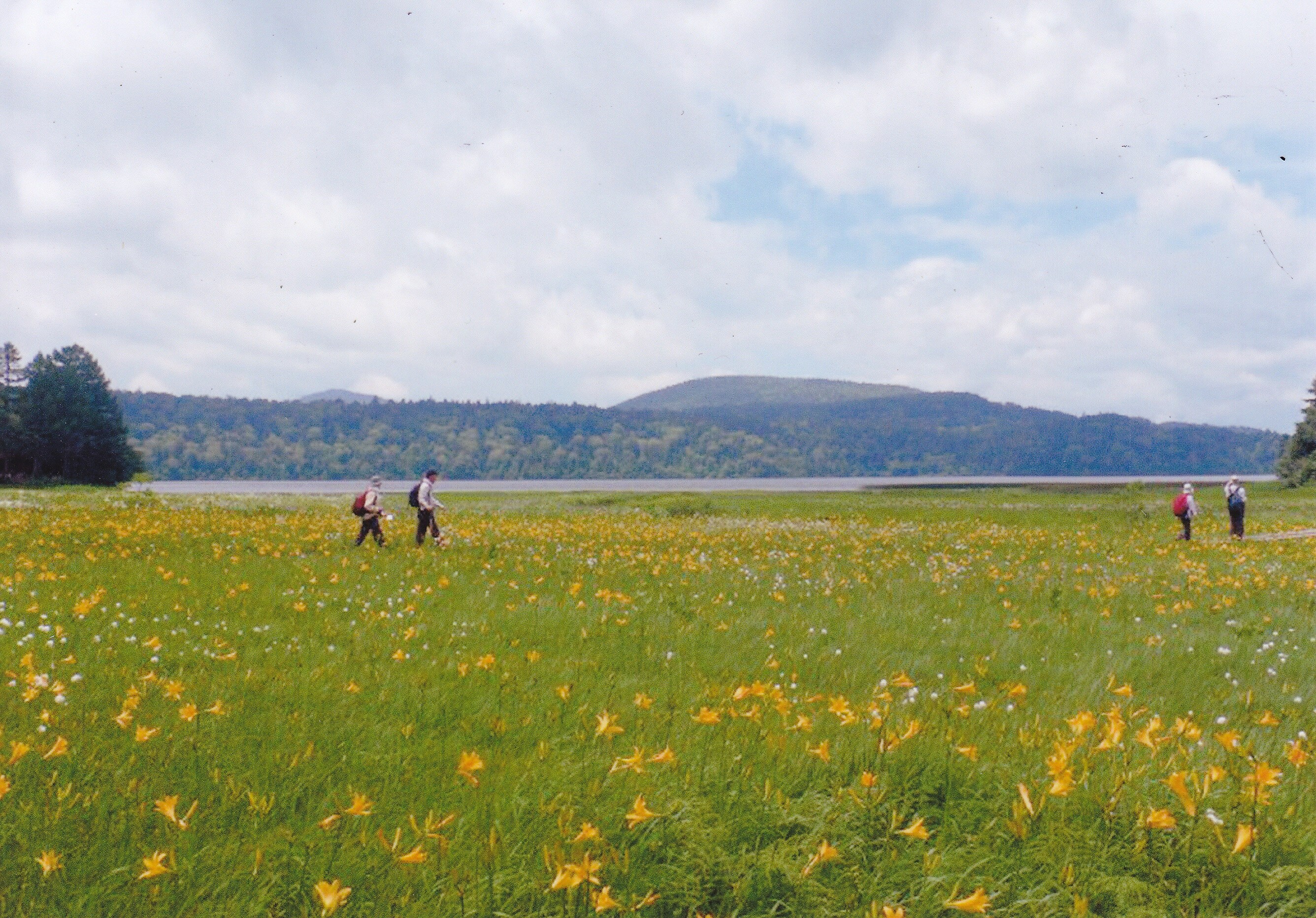 Oze National Park