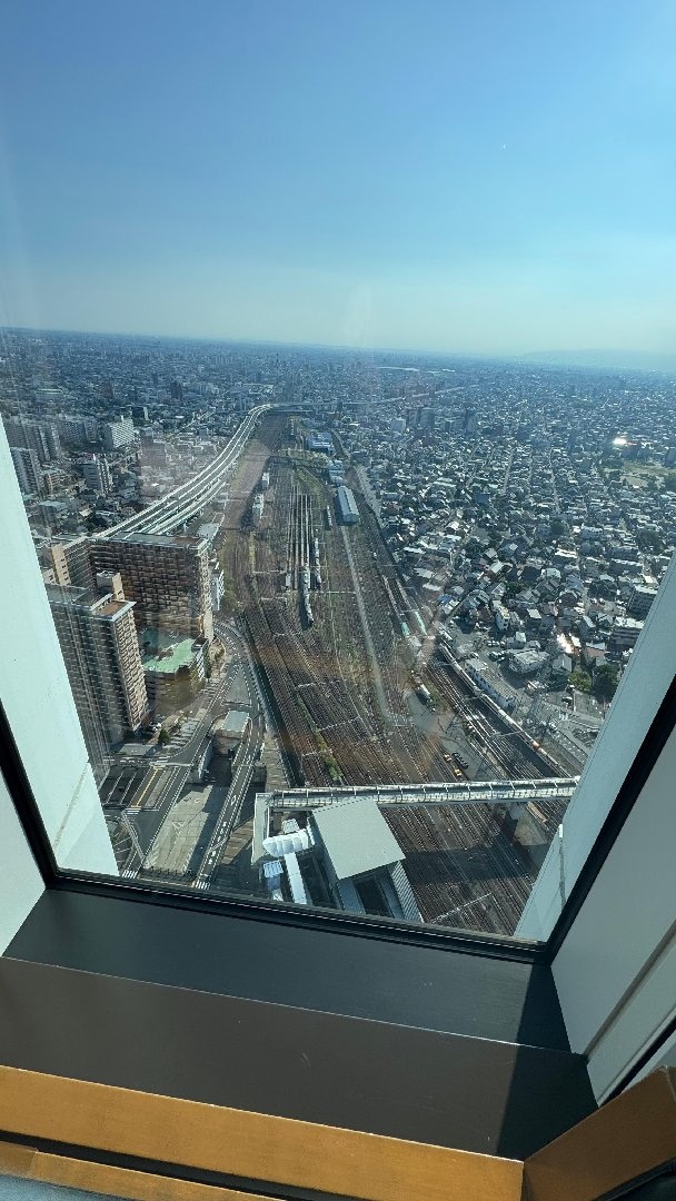IMG_1567.jpeg