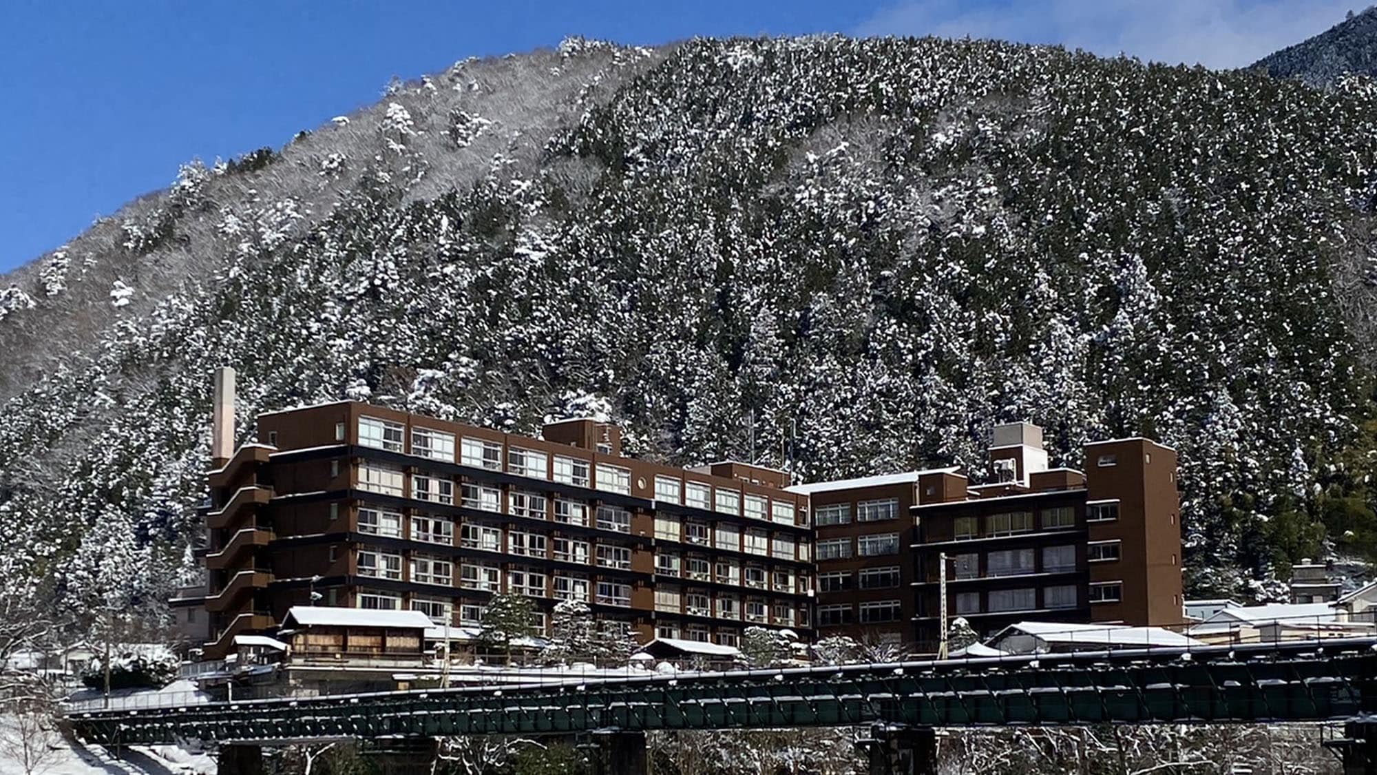 Winter panorama