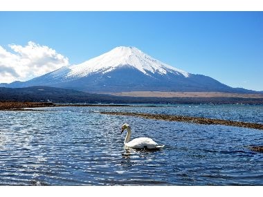 It is just a 0-minute walk from Lake Yamanaka, so you can easily enjoy the lakeside breeze.
