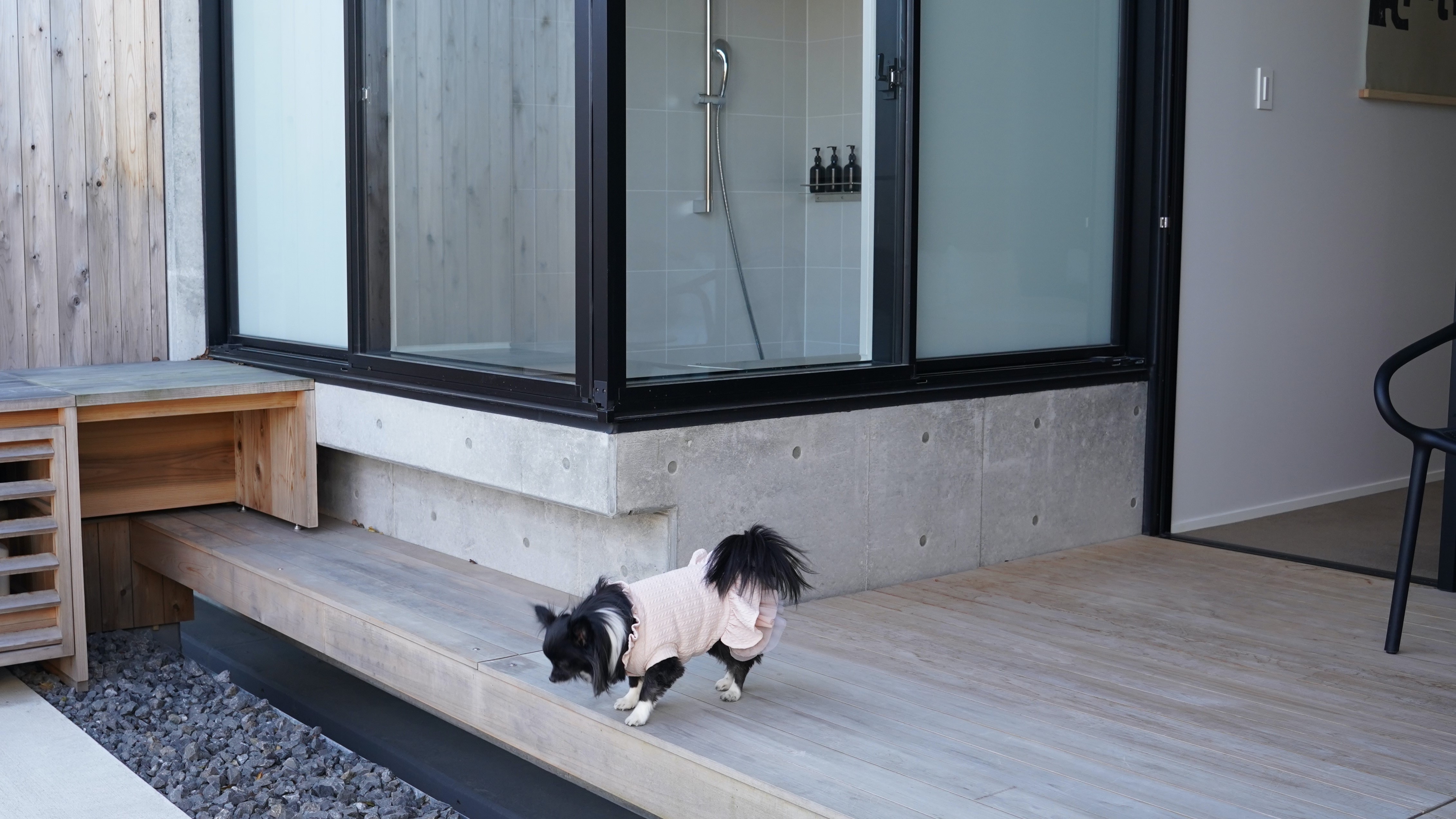 Dog Terrace Room