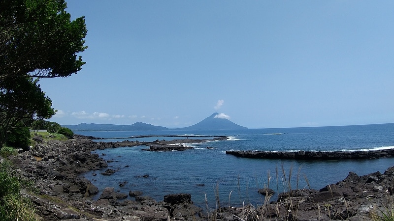 DSC_1031.jpg