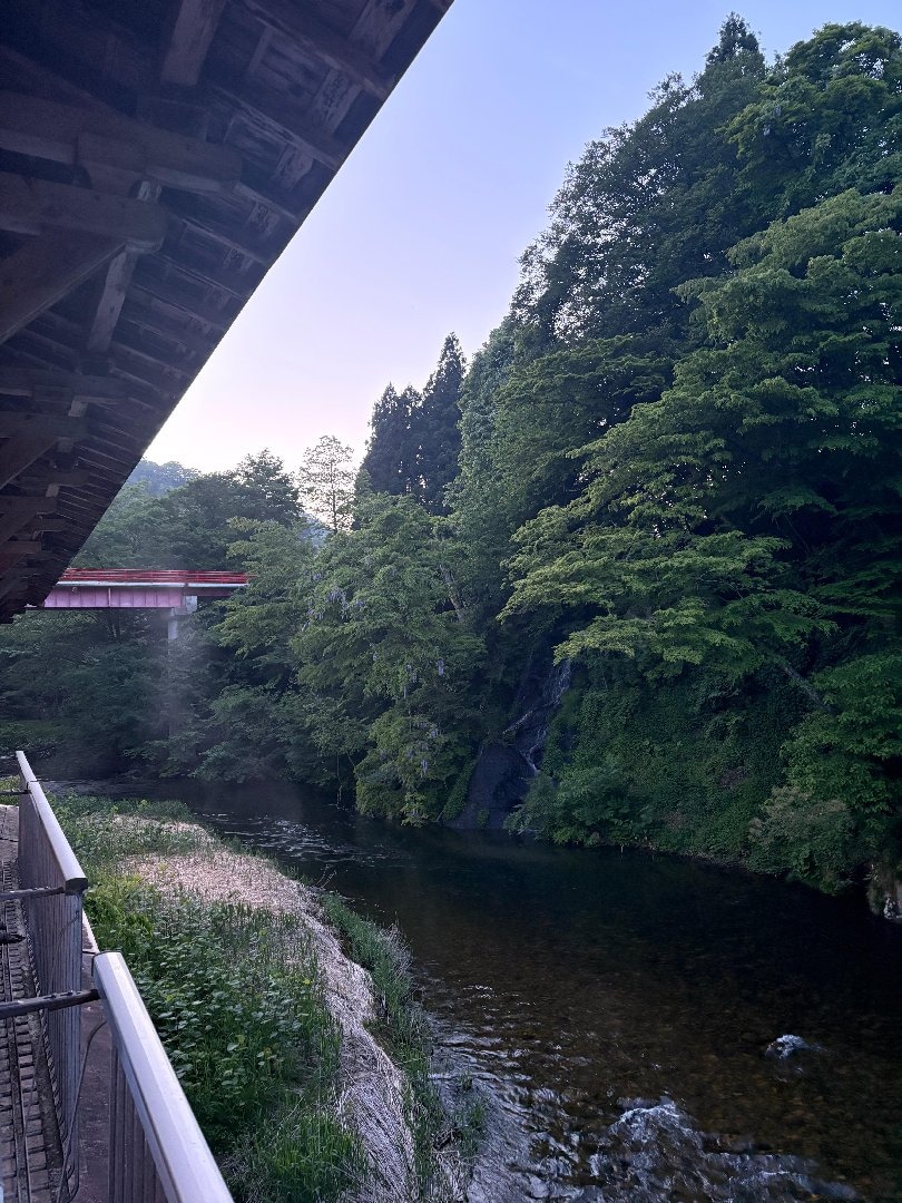 370785CB-D3BF-44F0-A79F-9AB20E9BB7BC.jpeg