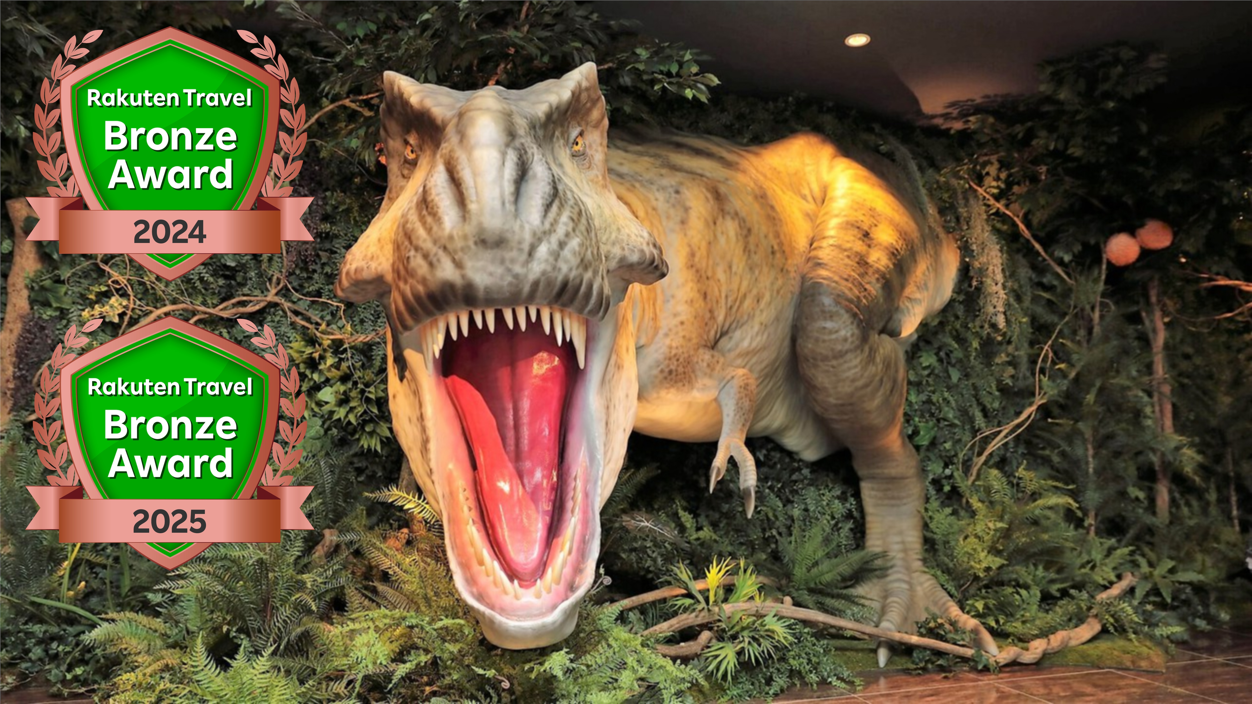 楽天アワード2025掲載Ver