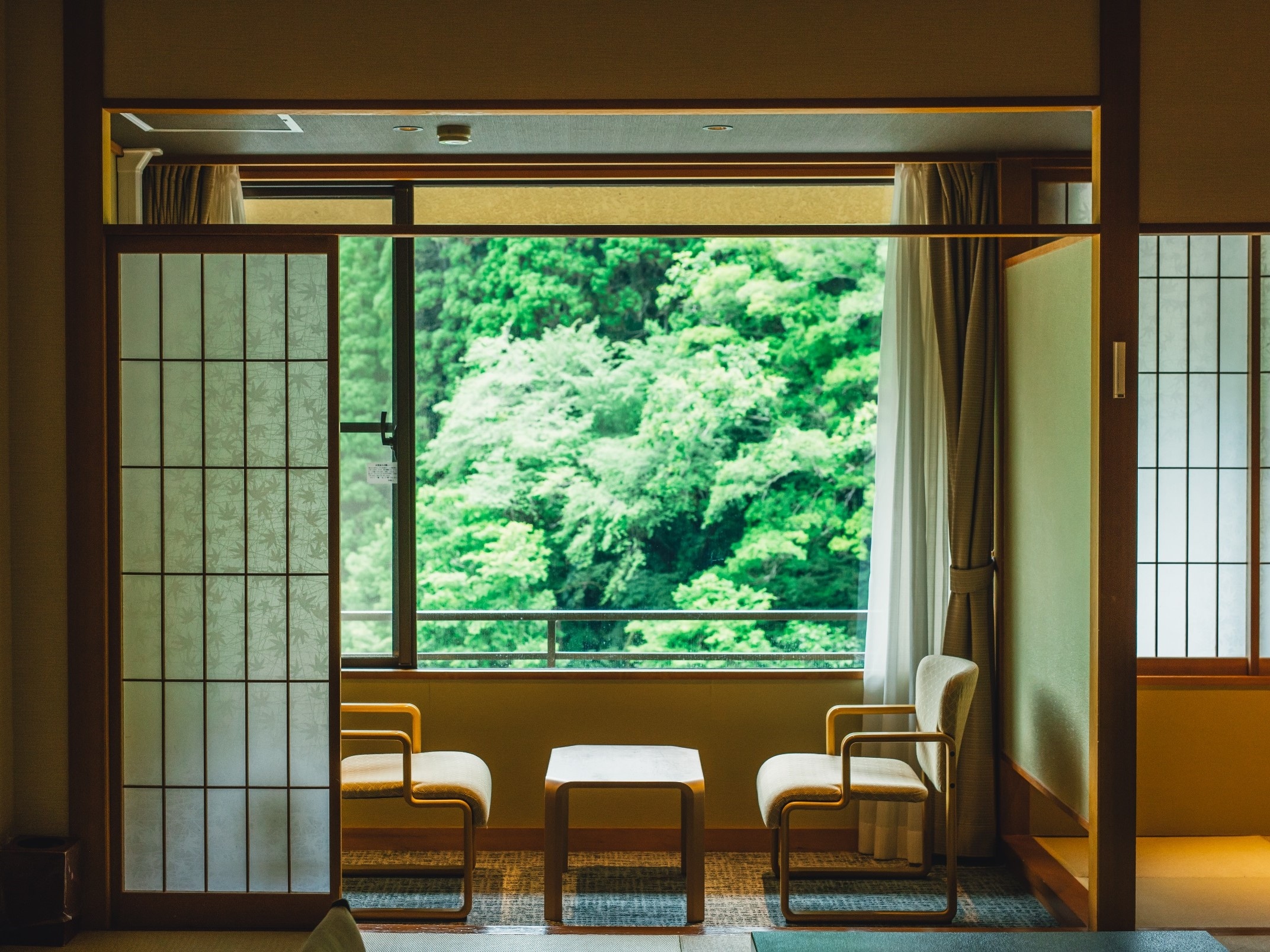 View from a standard Japanese-style room