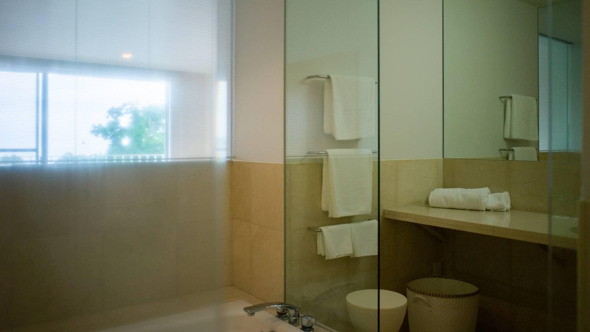 Bathroom and washroom
