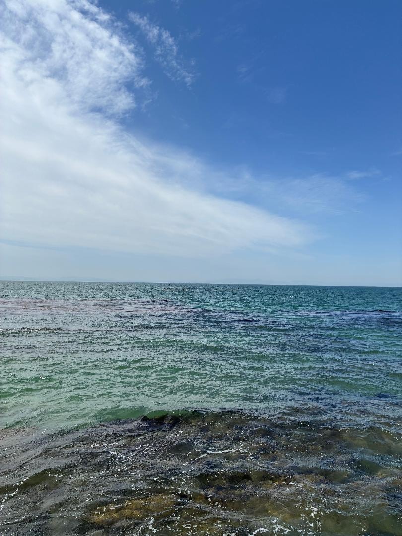 1B1C6331-0D0A-4ED8-9E9B-D5A1E948E45F.jpeg