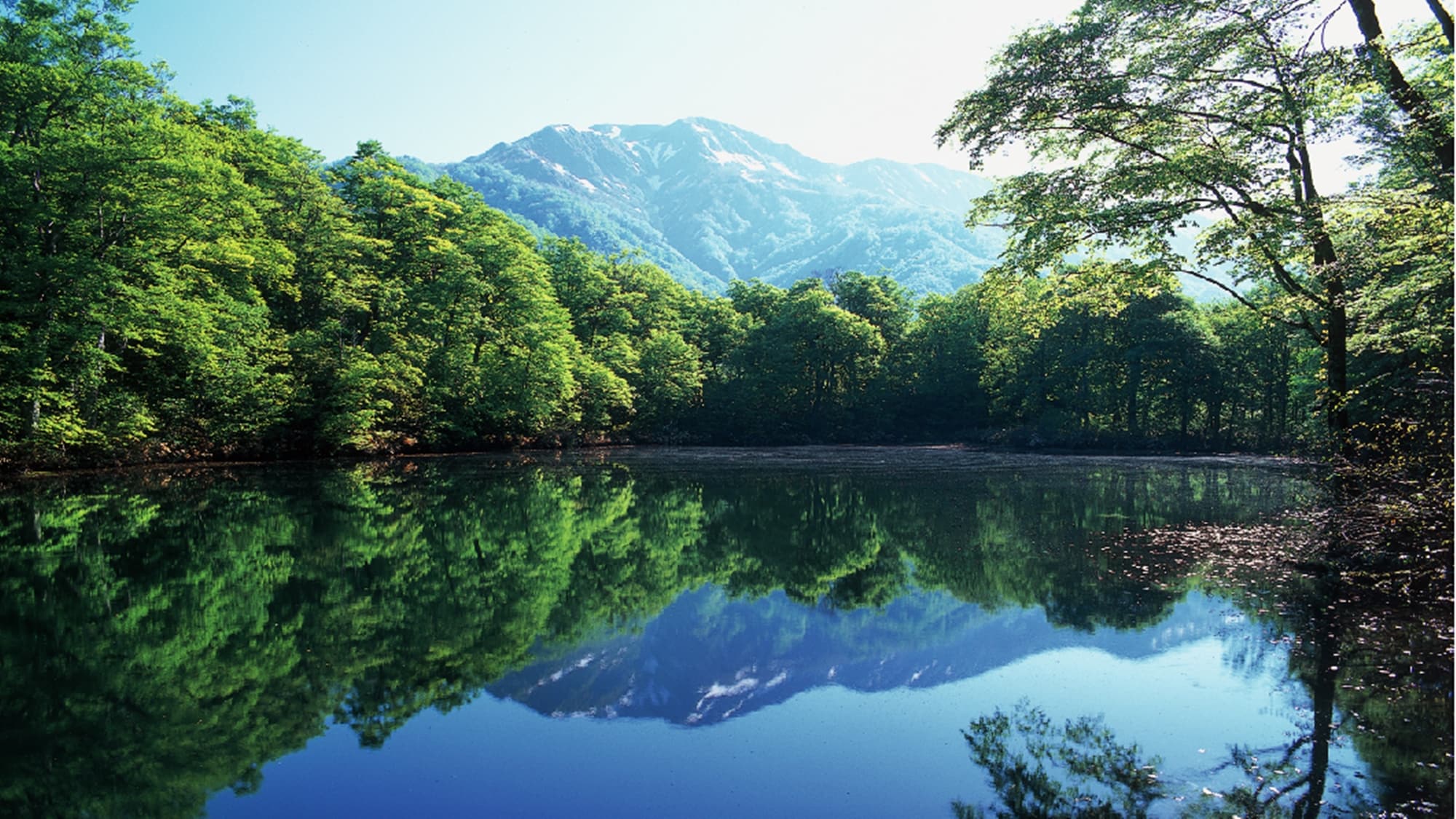 * [Sightseeing around] Kariike Pond Fresh Green