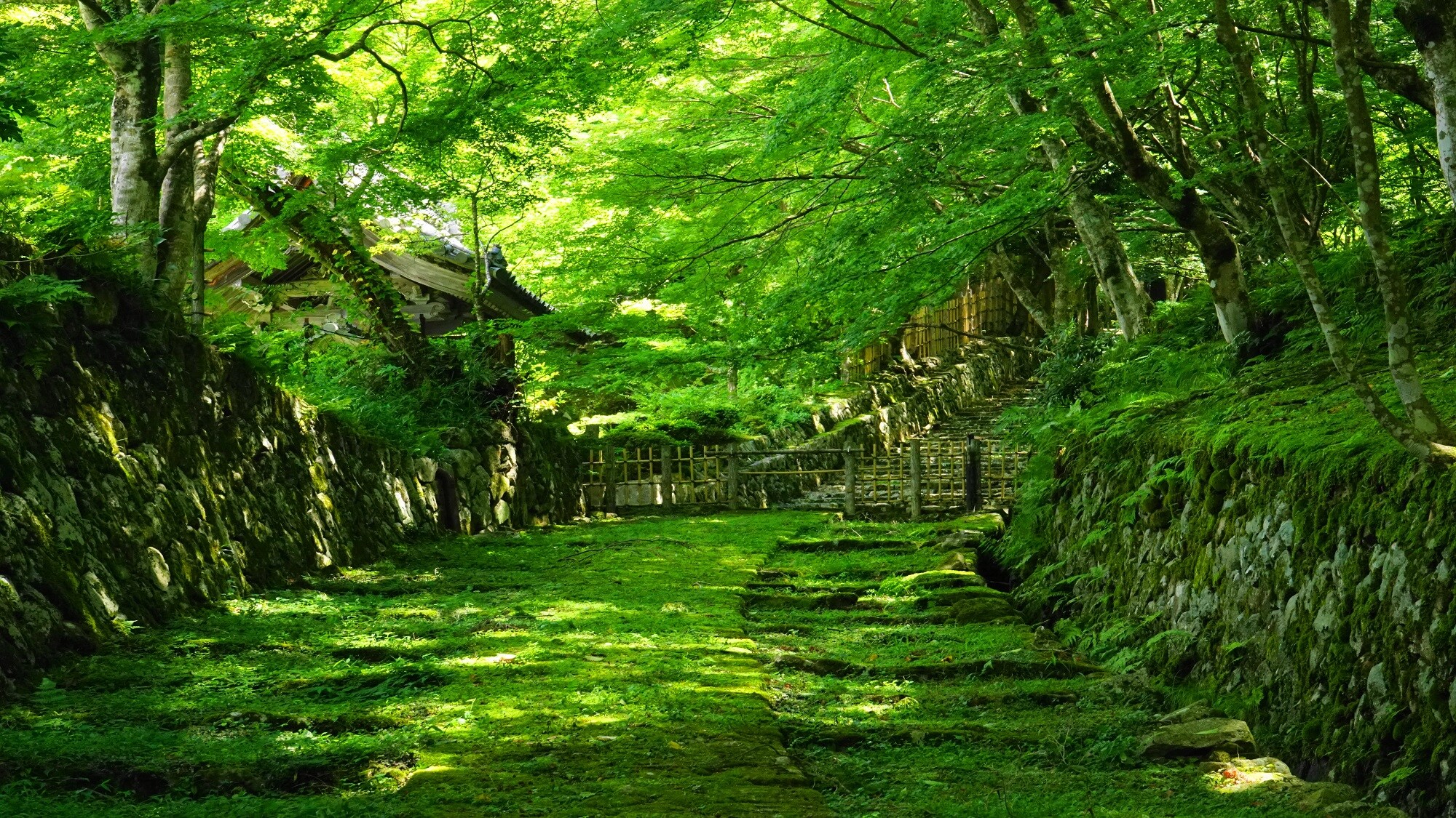 ■覺寺■車程14分鐘■ (公益法人)琵琶湖觀光局