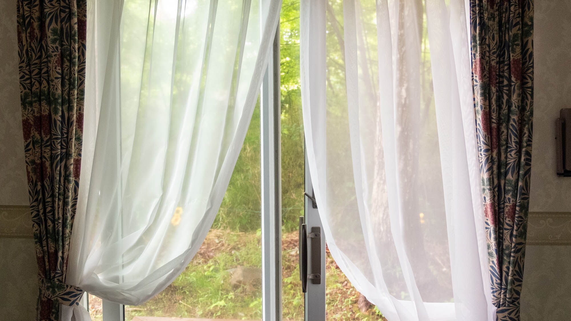 • [Guest Rooms] Abundant nature unfolds outside the windows. Enjoy a relaxing getaway away from the hustle and bustle at our inn.