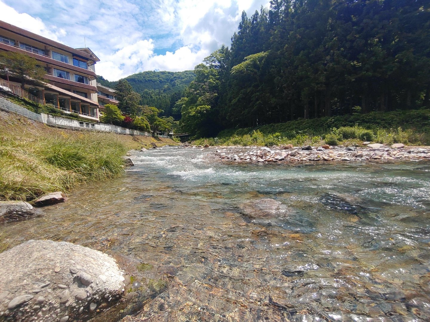 DSC_1478.JPG