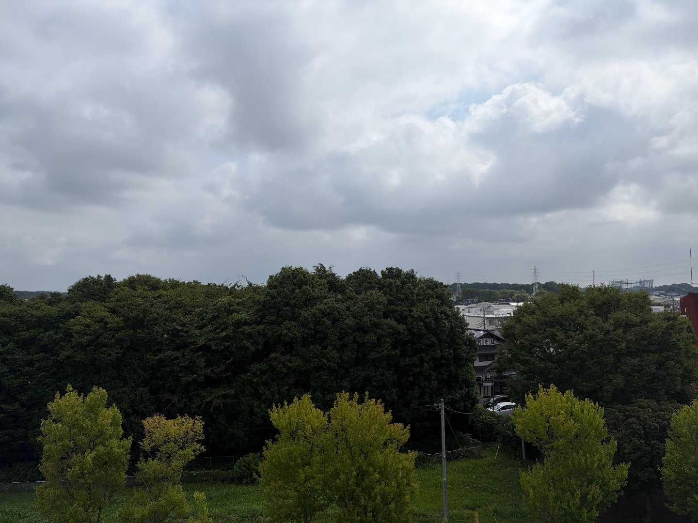 6450AD3C-579A-4075-87C5-1629AB16280B.jpeg