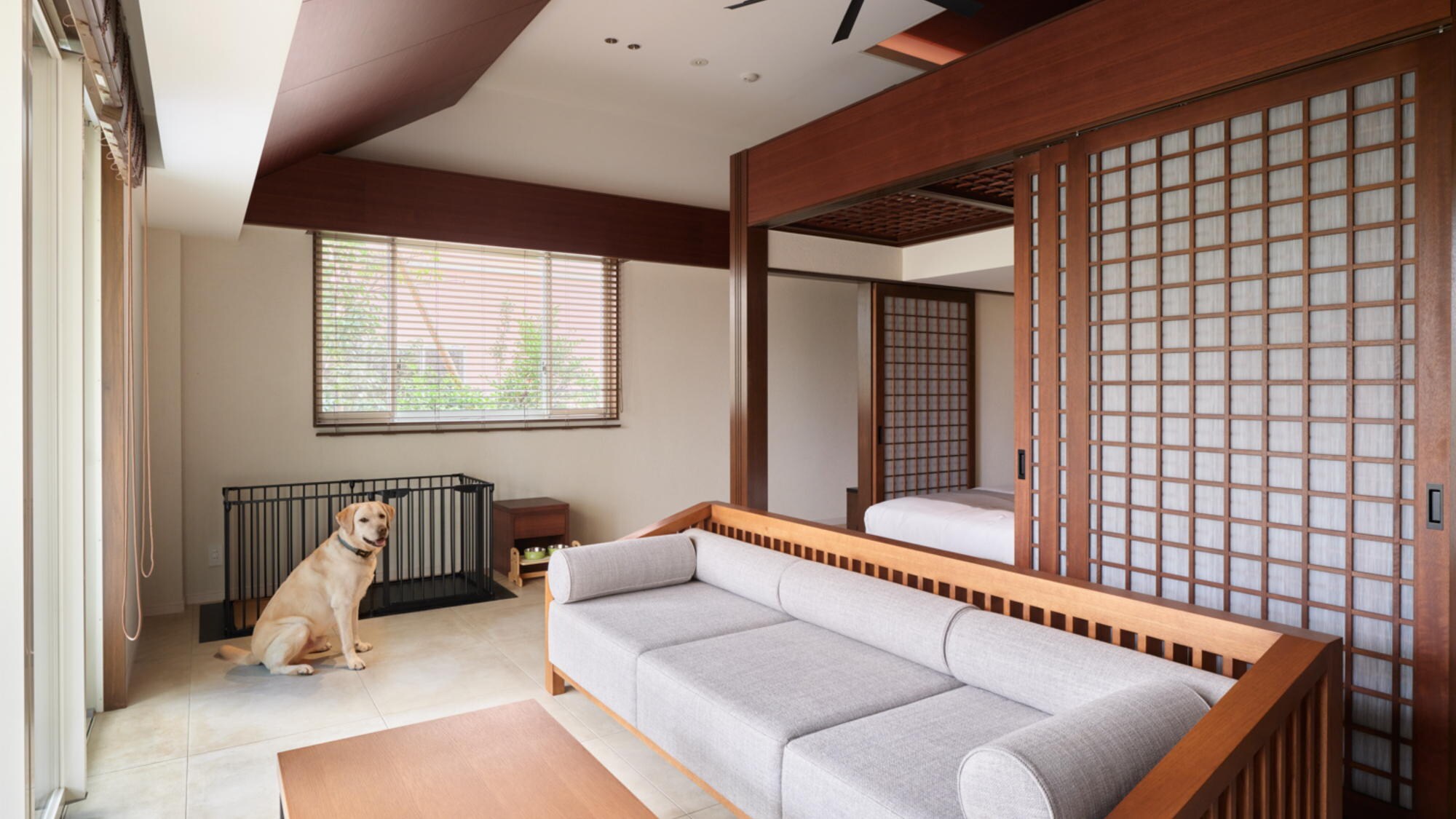 [Dog-friendly Superior Twin 80m2] A room where even large dogs can relax