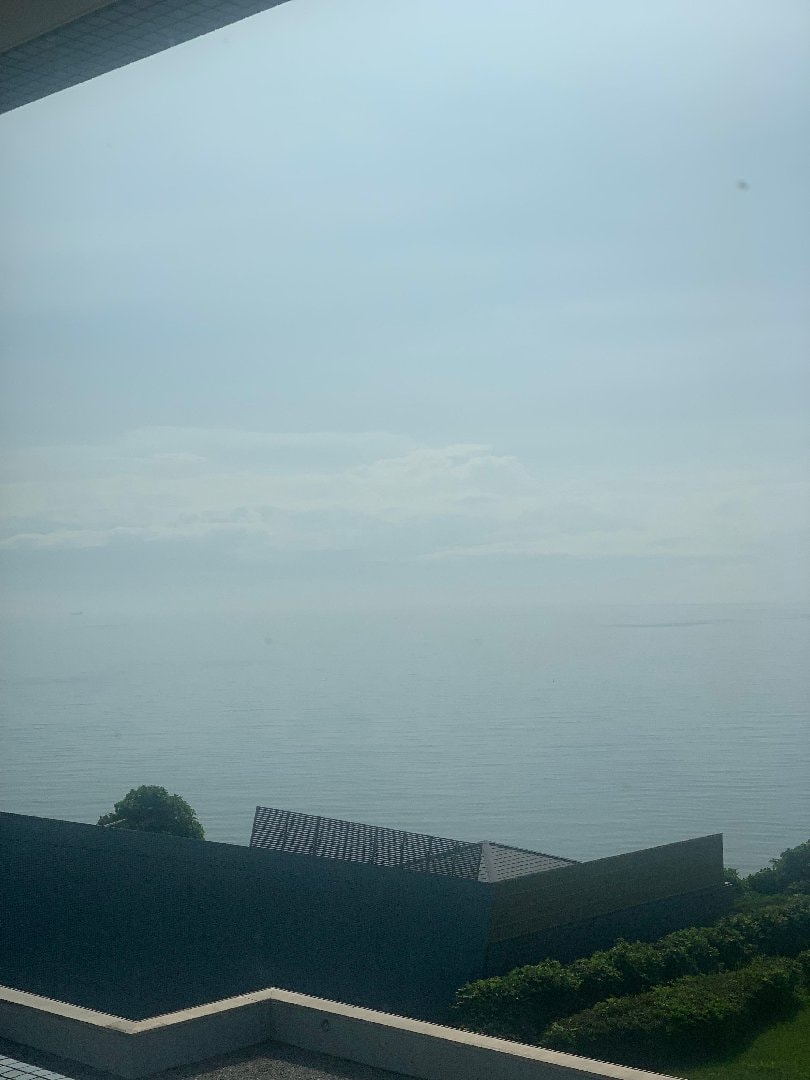 IMG_0863.jpeg