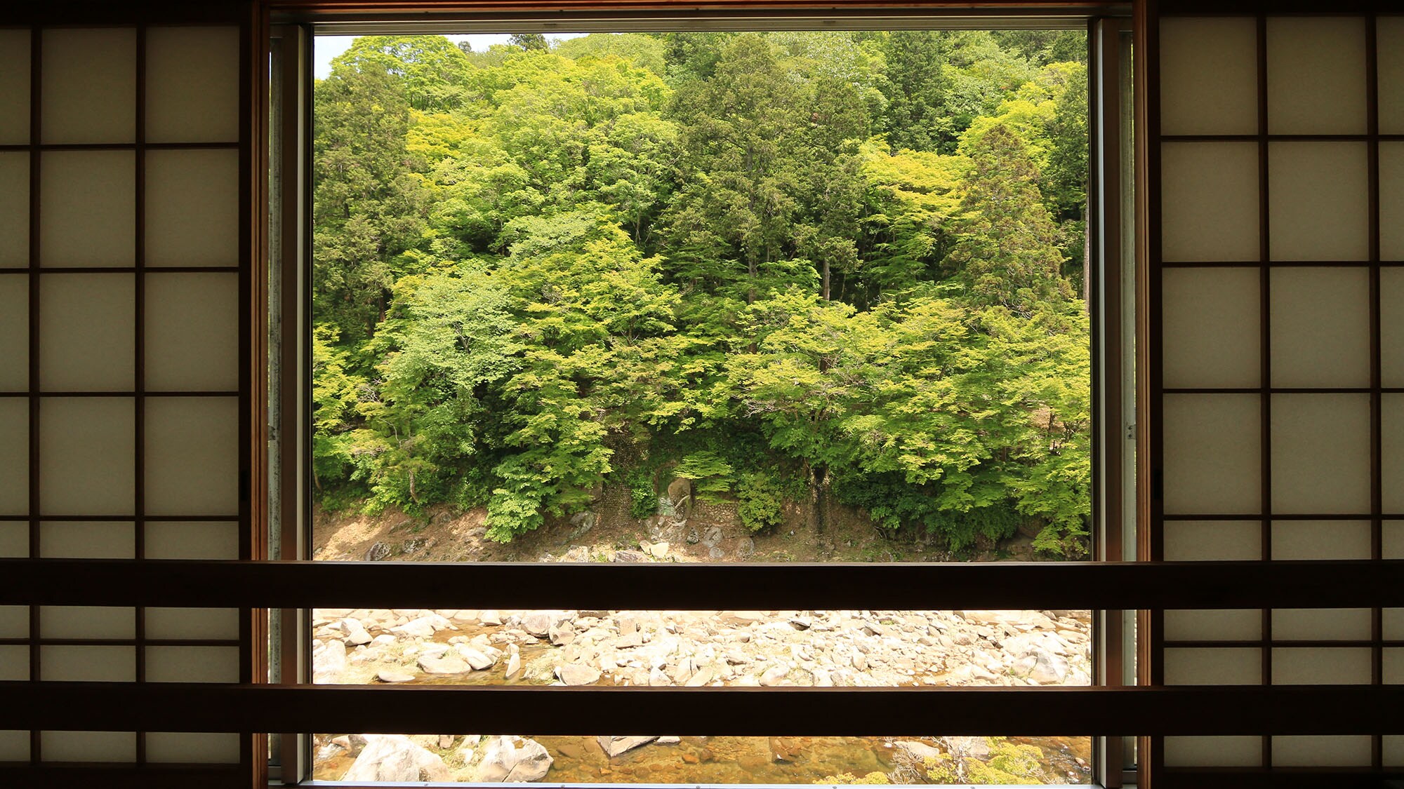 [Fresh greenery] We recommend the season of fresh greenery!