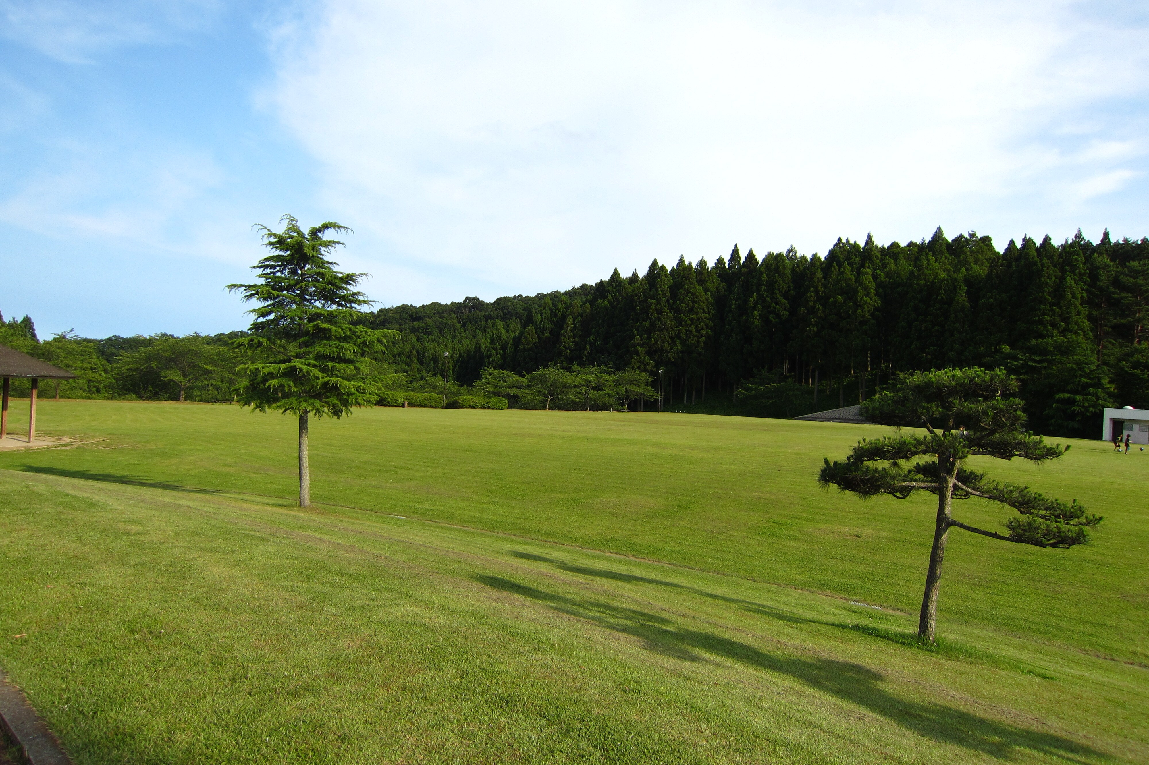草地广场