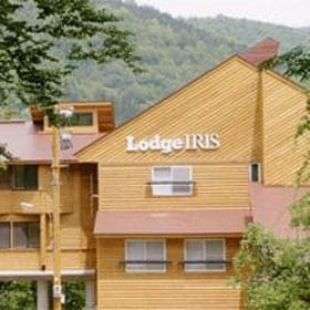 Hình ảnh xuất hiện