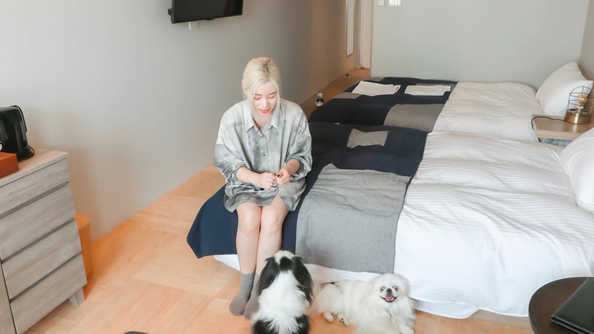 ・[Pet-friendly Garden Twin Room & Sofa] You can relax with your dog in the room.