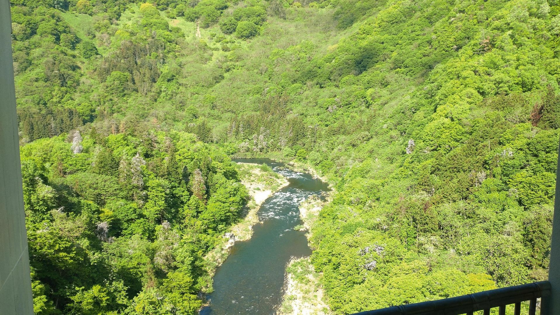 DSC_0492.JPG