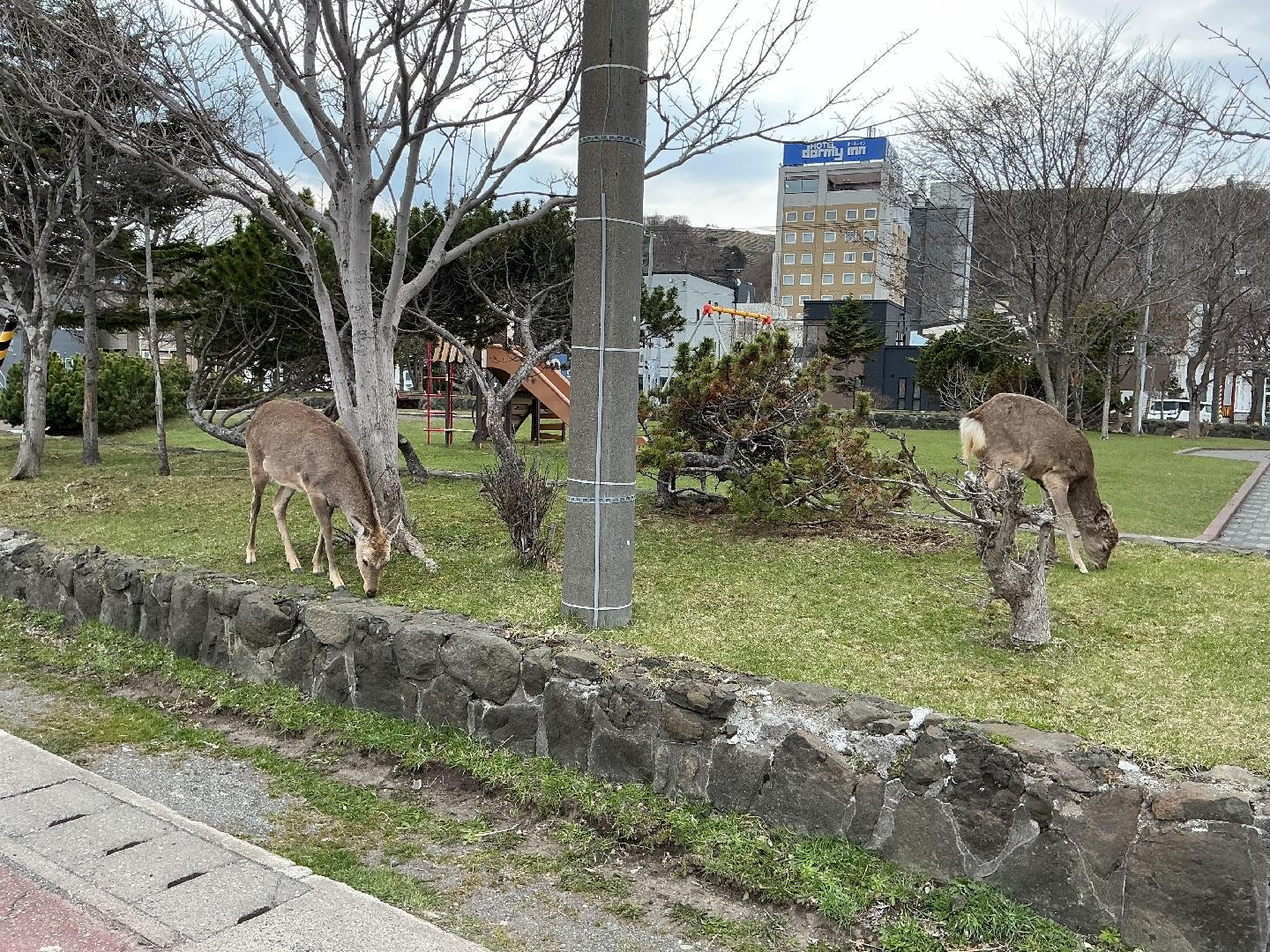 IMG_9040.jpeg