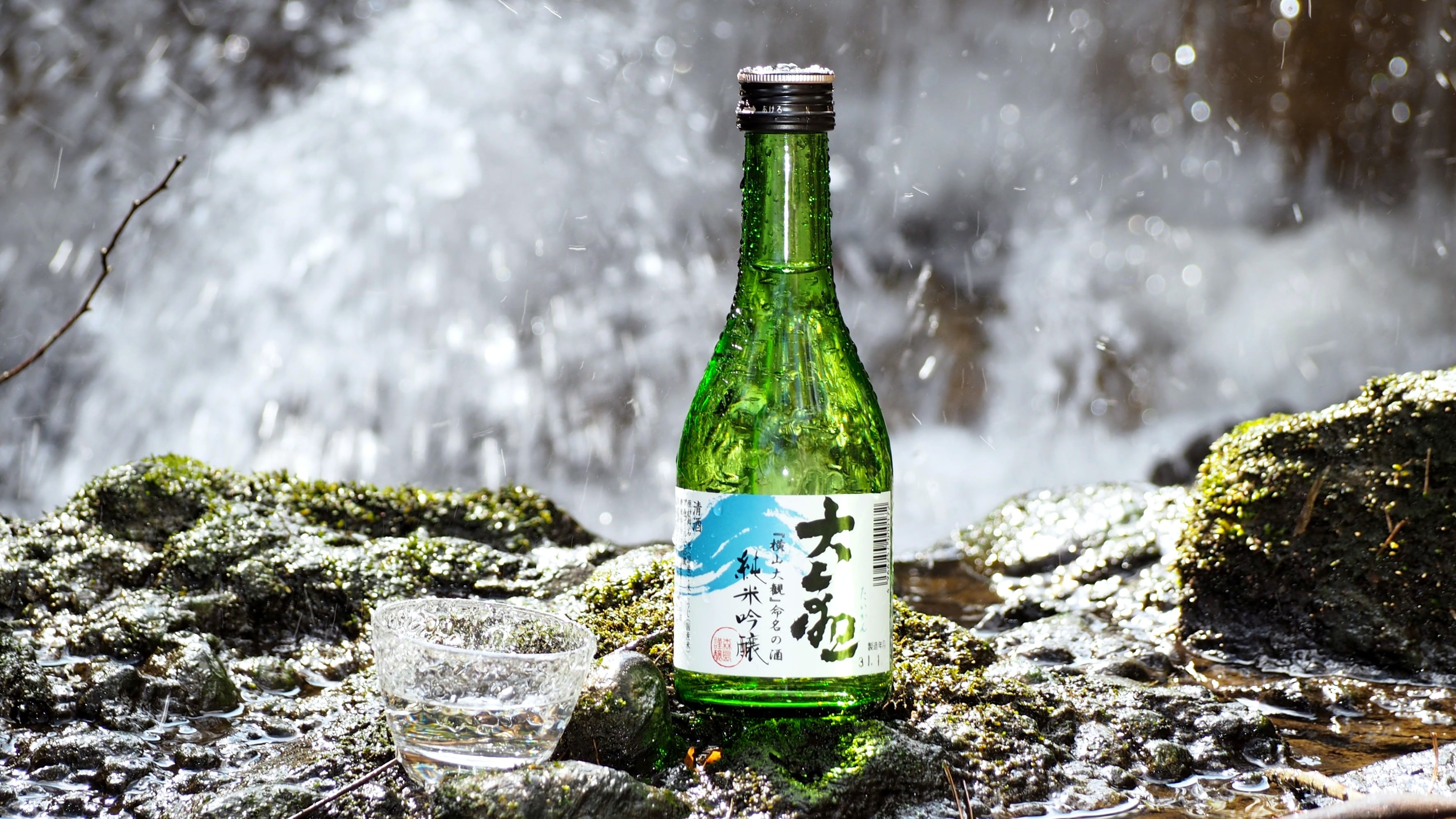 當地清酒「富士大觀」－清爽、乾爽的冷酒
