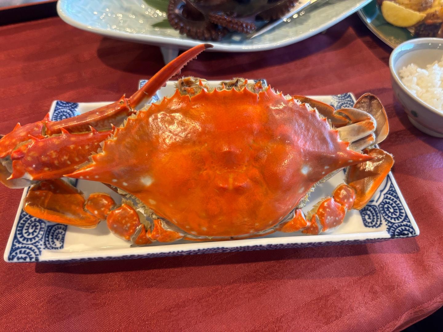 IMG_0532.jpeg