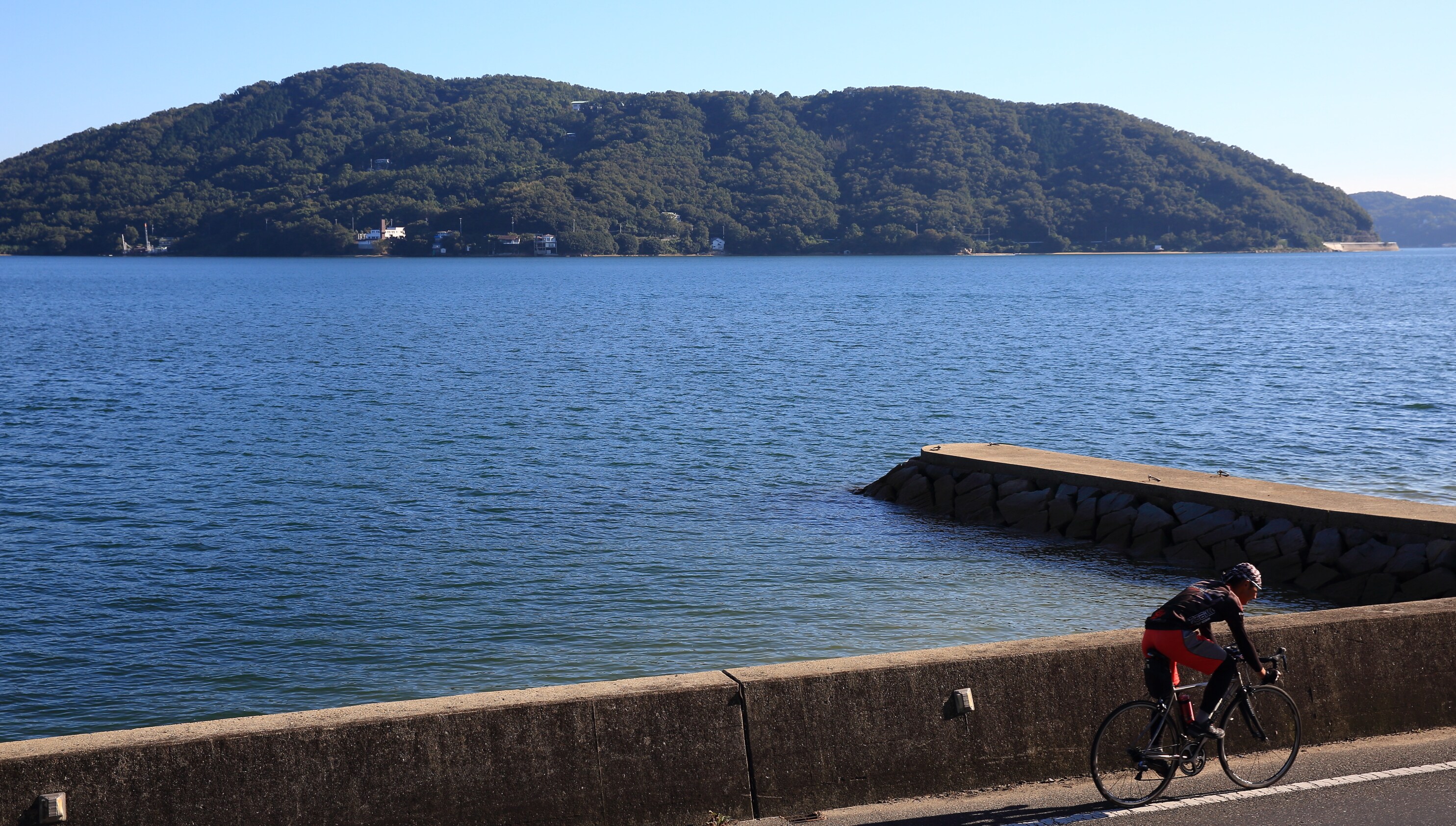 Mameichi 的完美基底