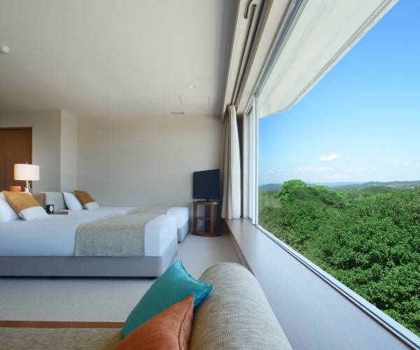 [Deluxe Room]