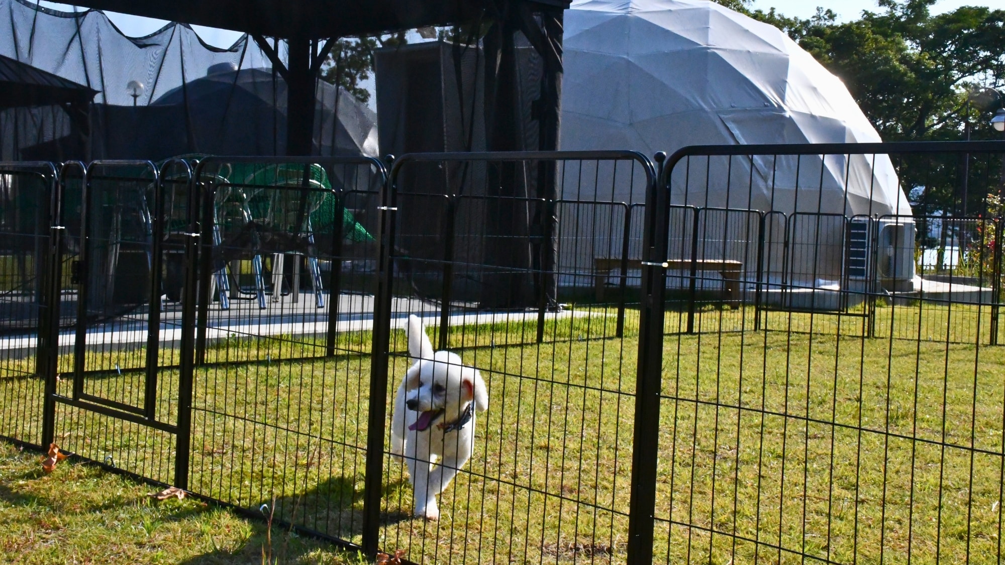 允许携带小狗入住的圆顶豪华帐篷。仅限基地内的一栋建筑！