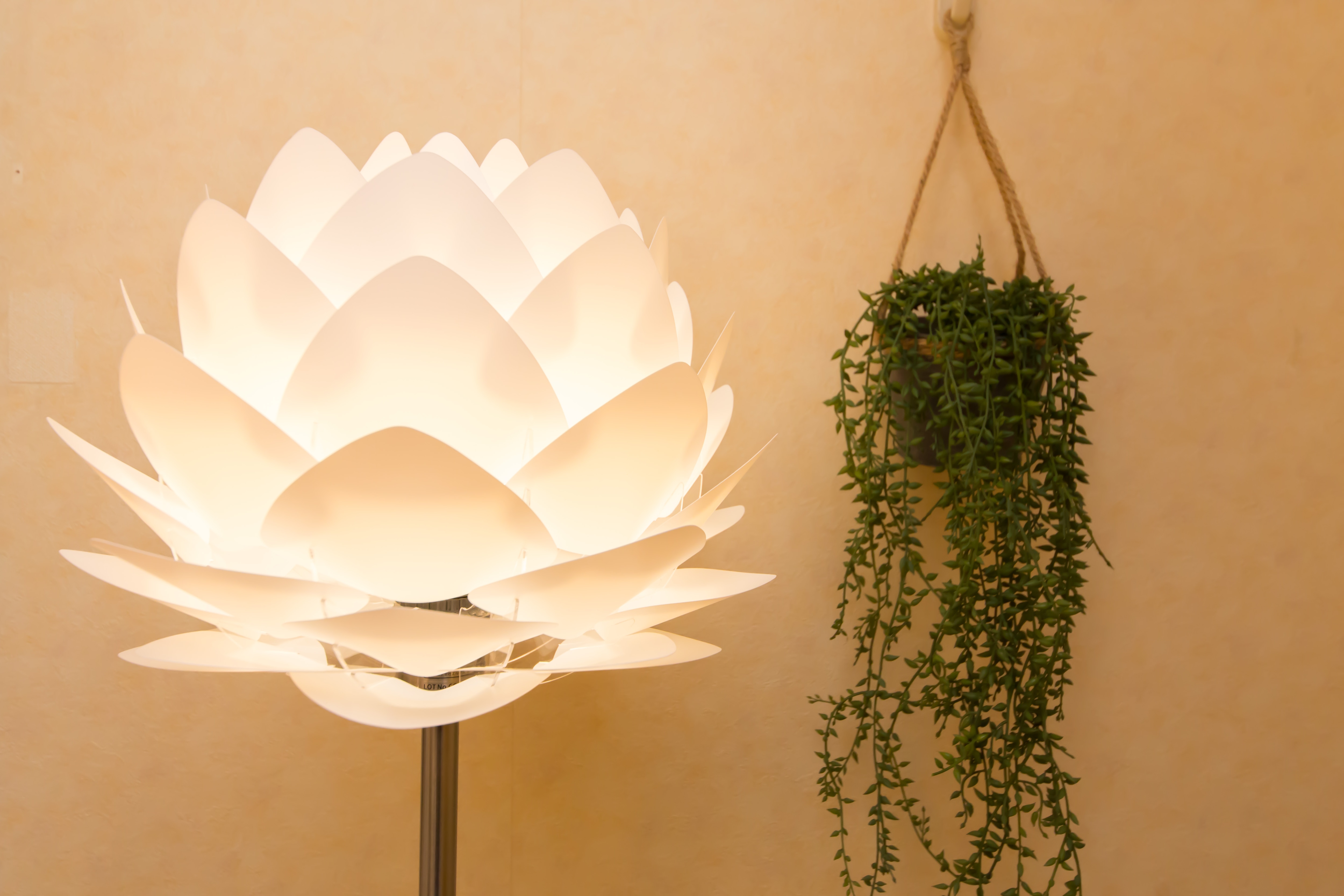 There are also stylish lotus flower-shaped room lamps.