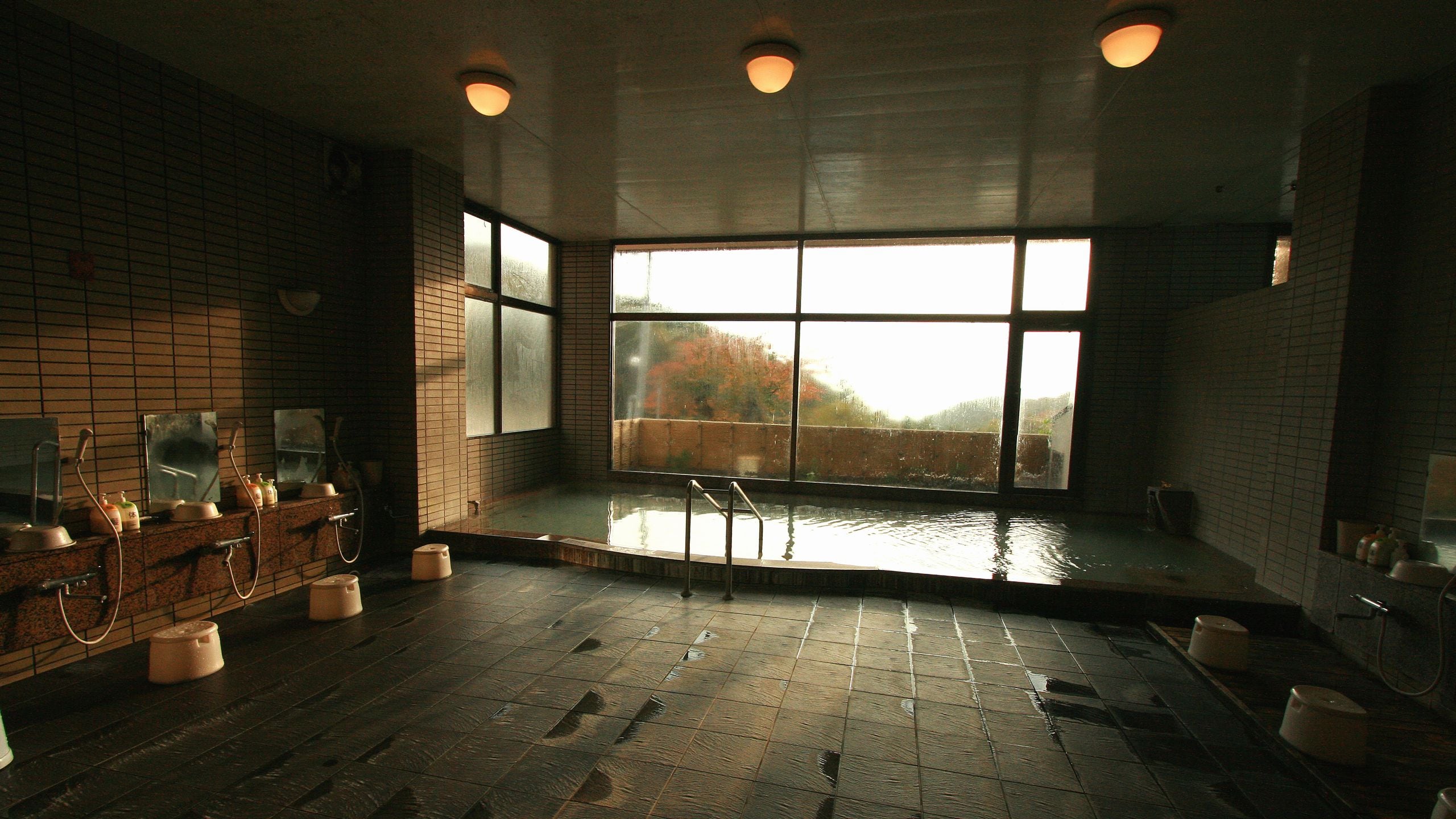 [Large communal bath in the building] Facility (overall view)