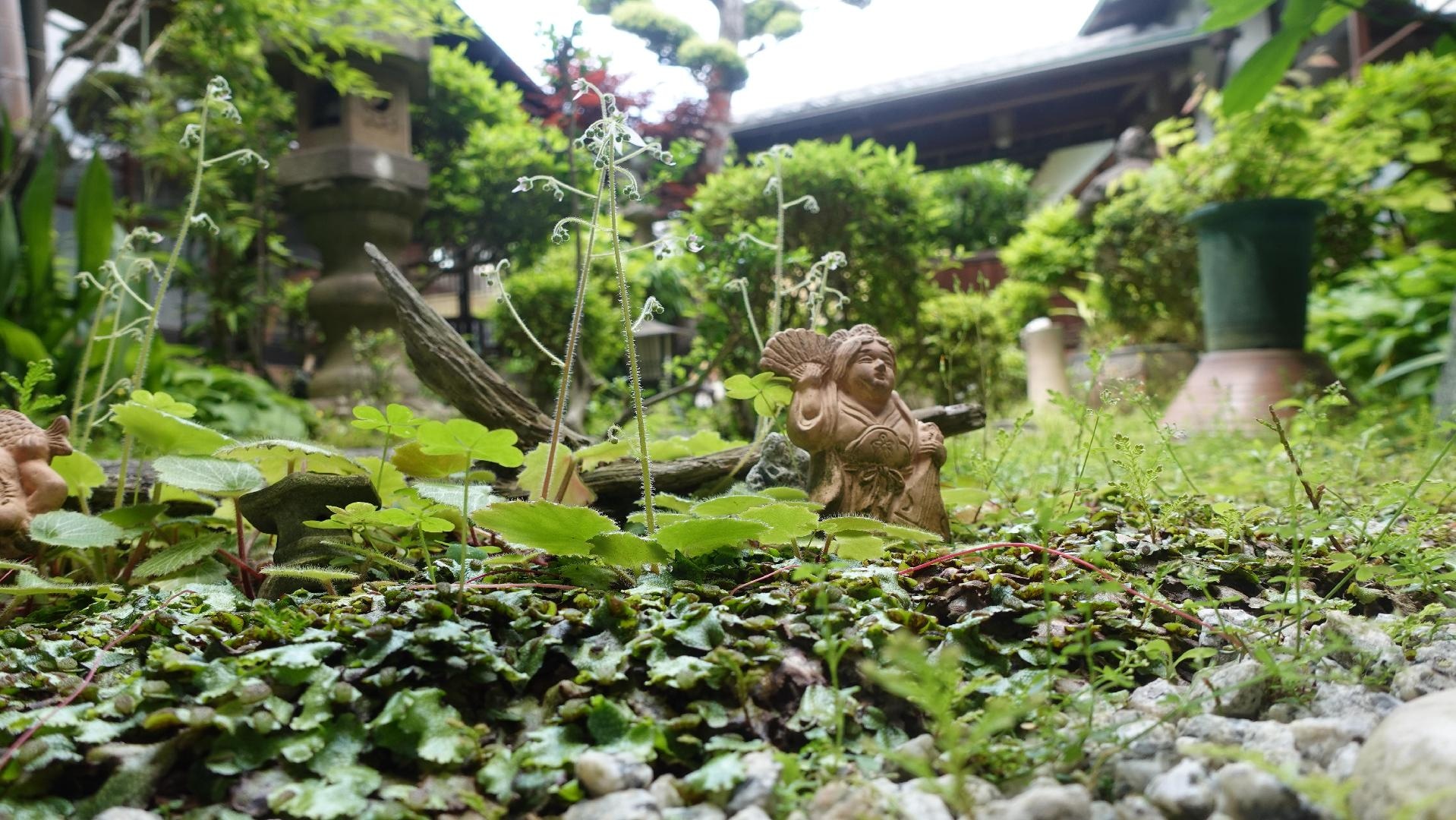 DSC04780.JPG