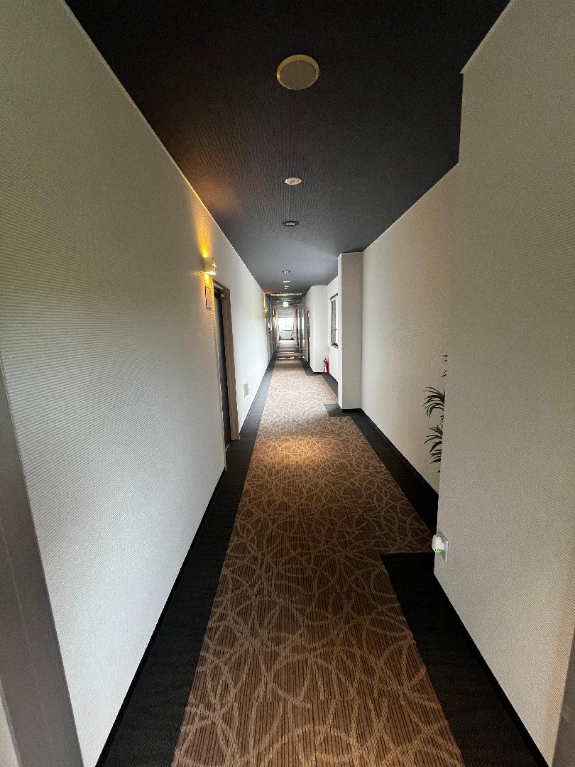 IMG_1553.jpeg
