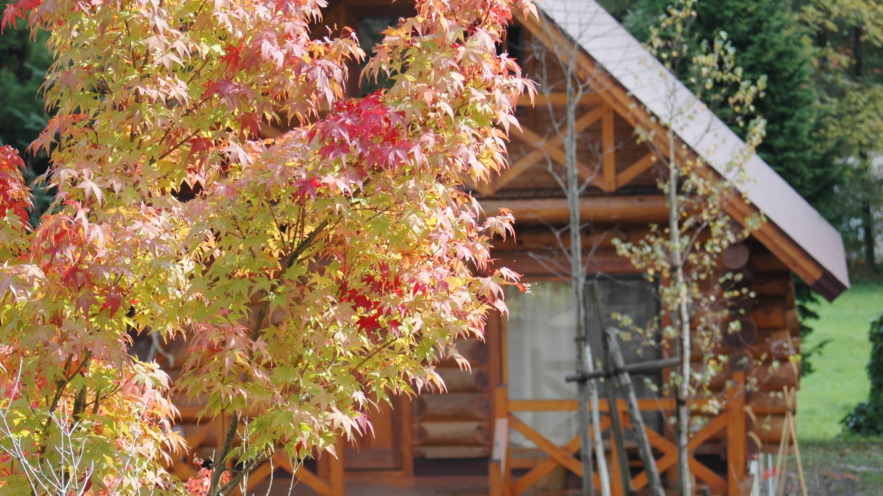 Autumn cottage