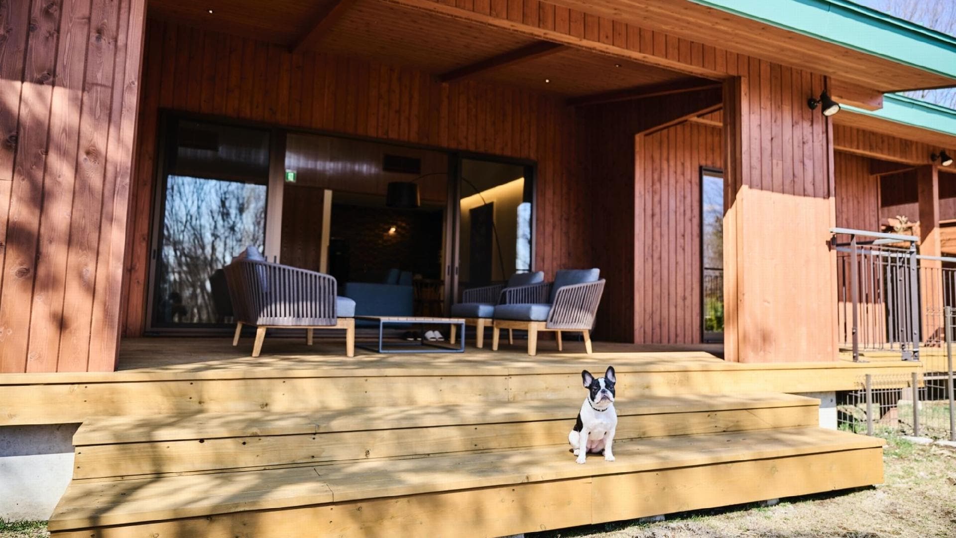 Dog Villa Suite