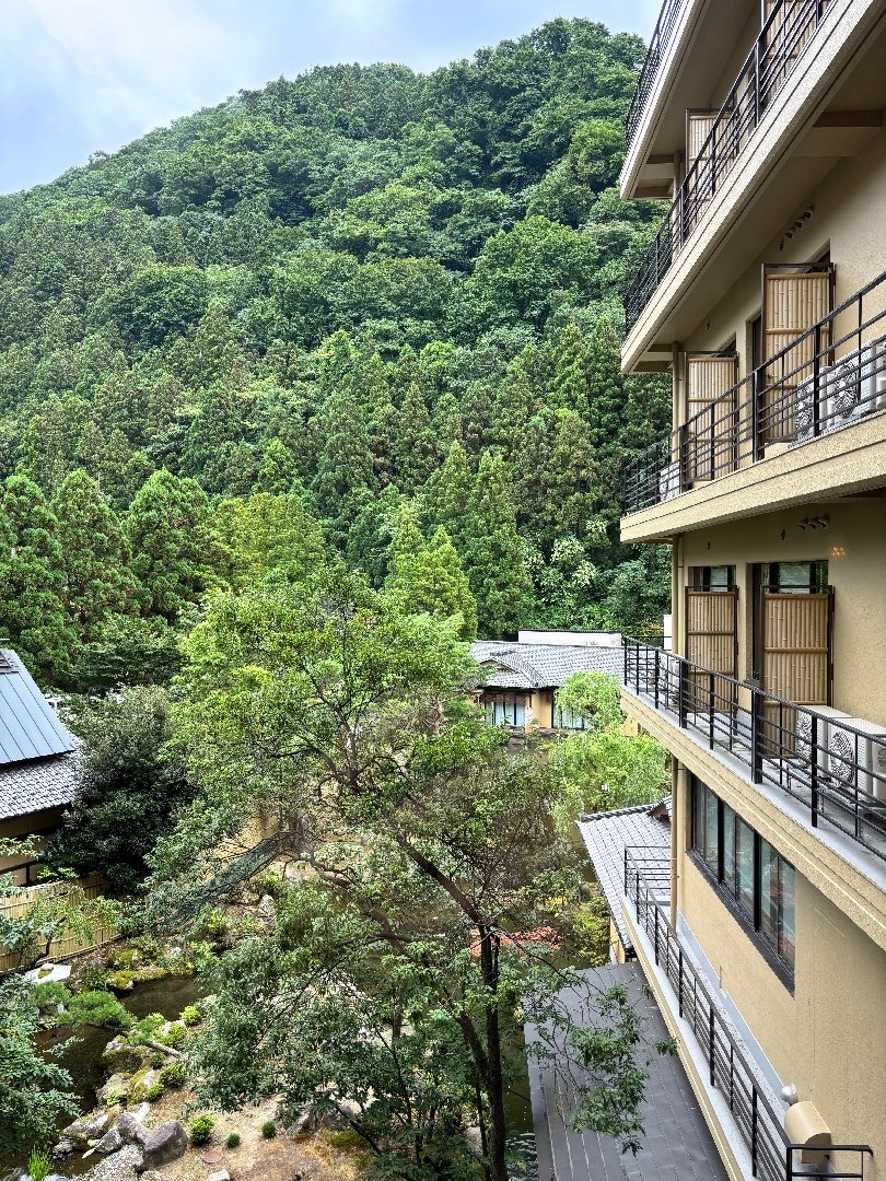 IMG_6060.jpeg