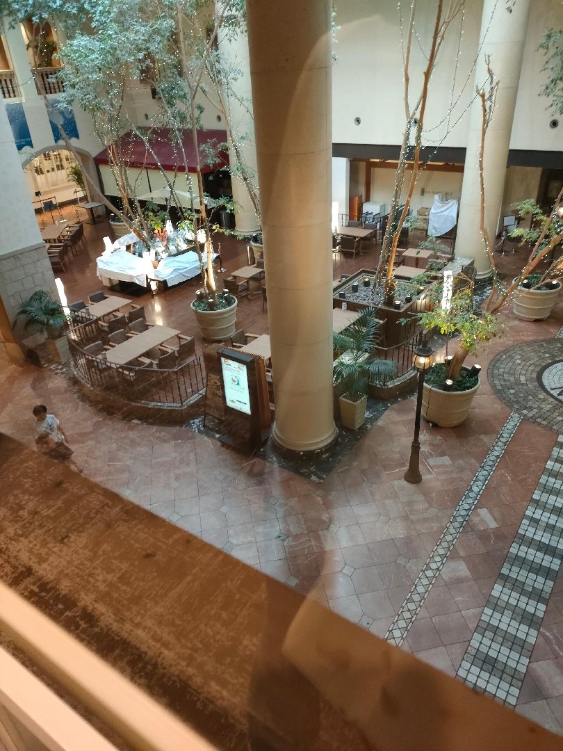 IMG20260801071918.jpg