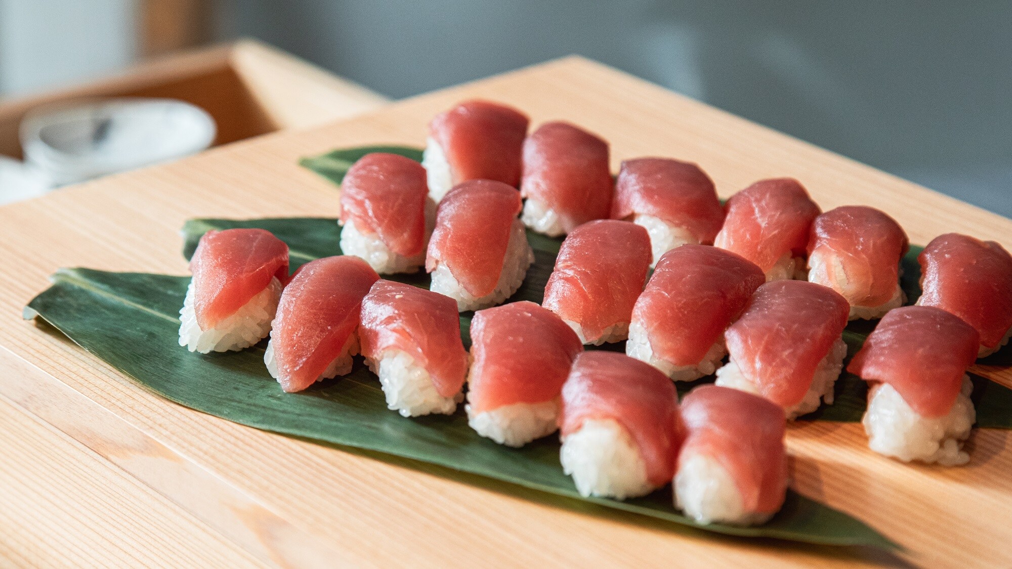 [Dinner Buffet] Example of nigiri sushi (Albacore tuna) Please enjoy as much as you like of whatever you like...