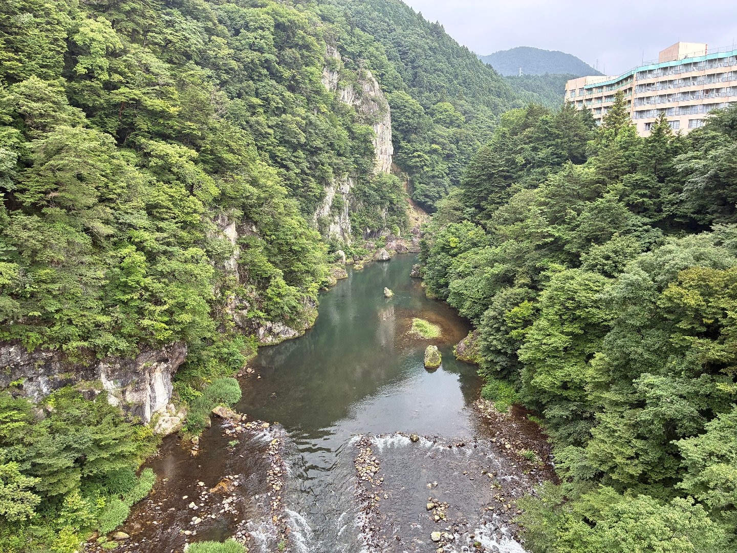 IMG_4441.jpeg