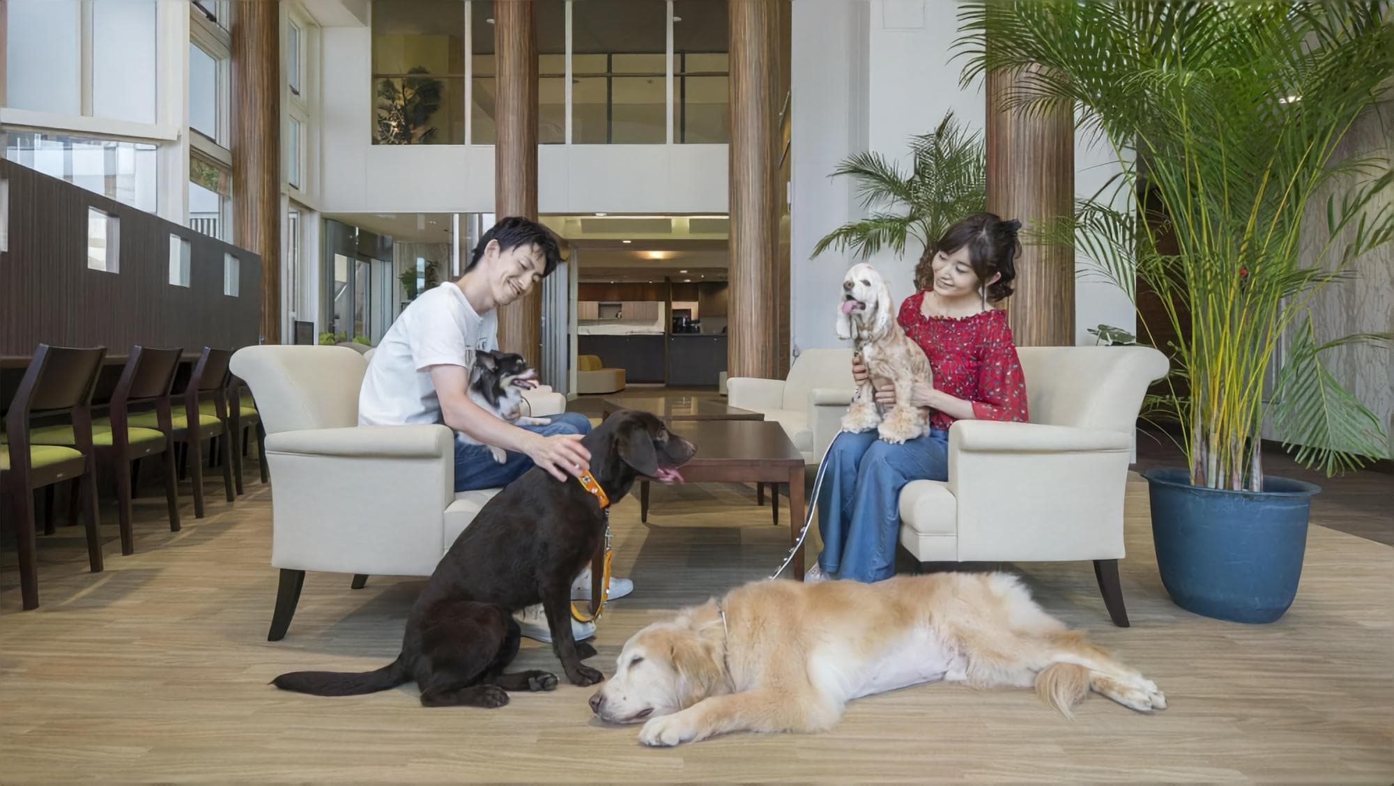 Small to extra large dogs allowed