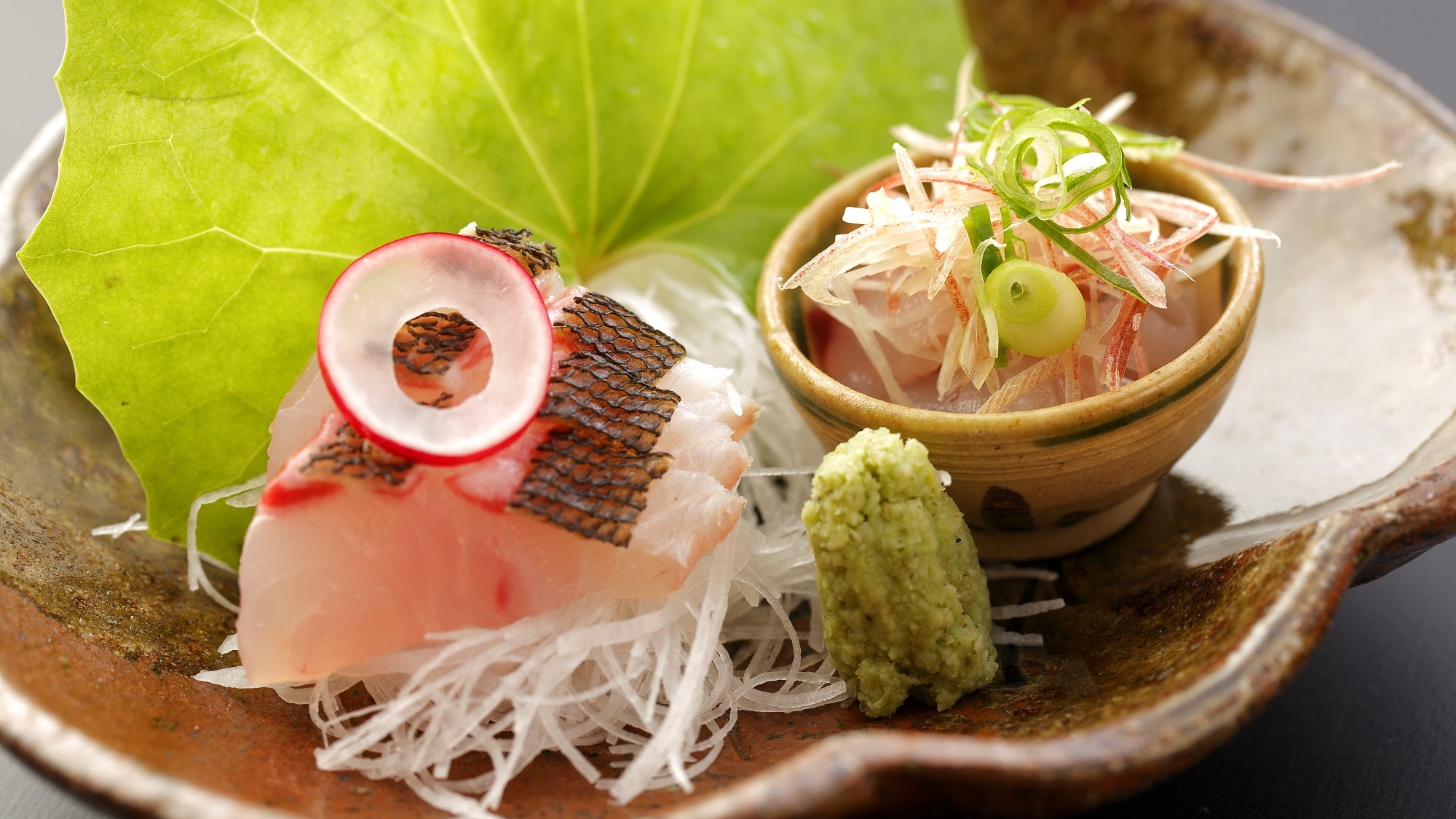 Sashimi