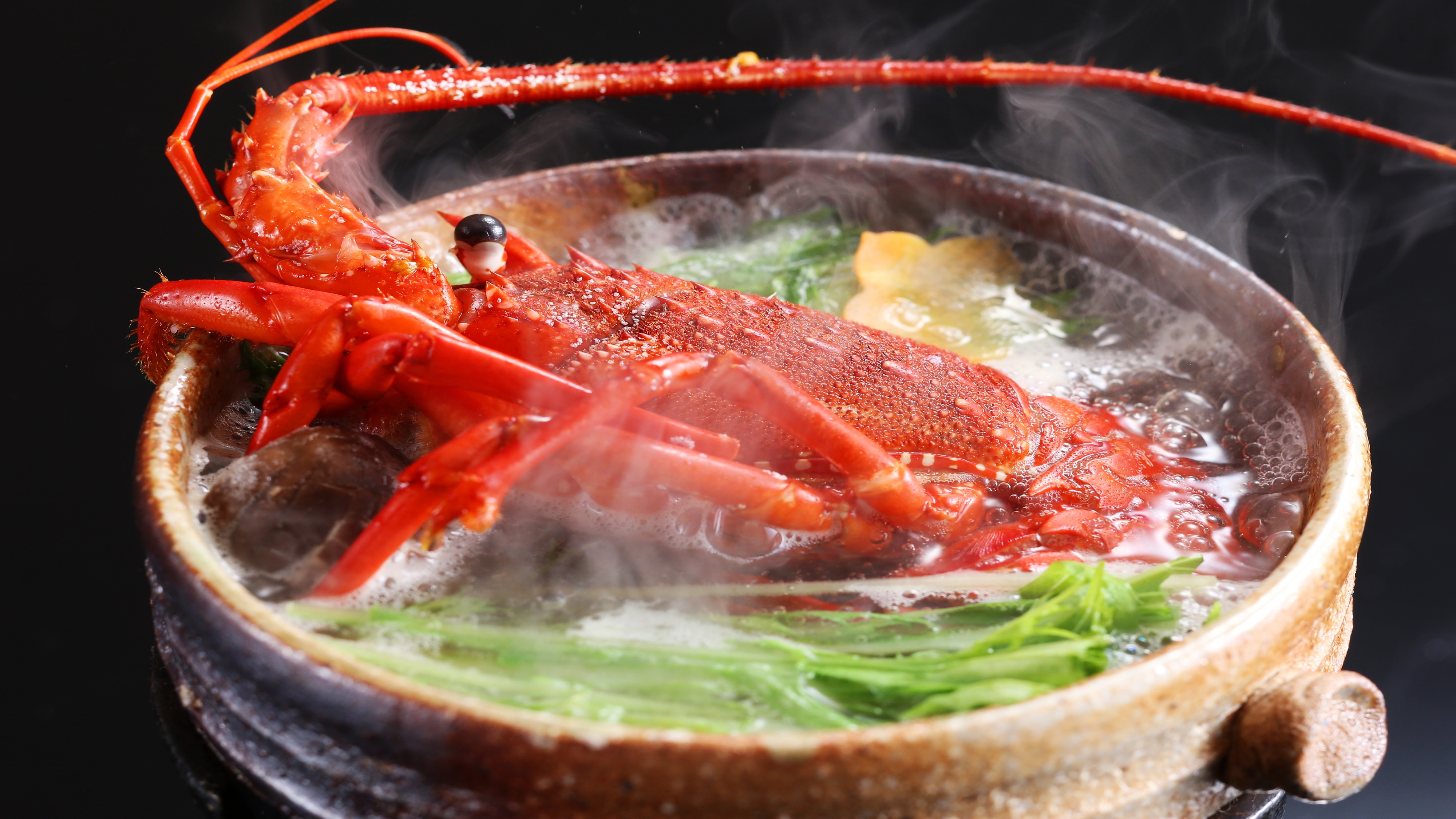Spiny lobster pot (image)