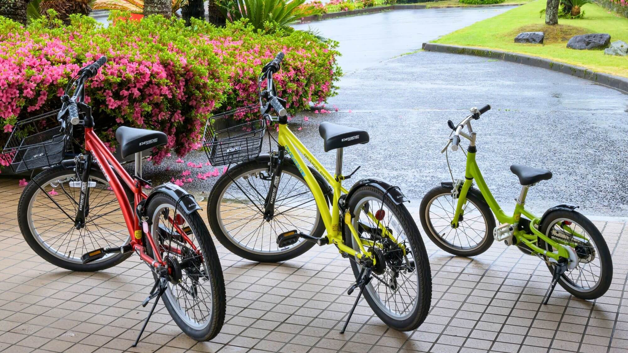 【免費自行車出租】我們有各種尺寸和顏色的電動自行車、越野自行車等自行車！