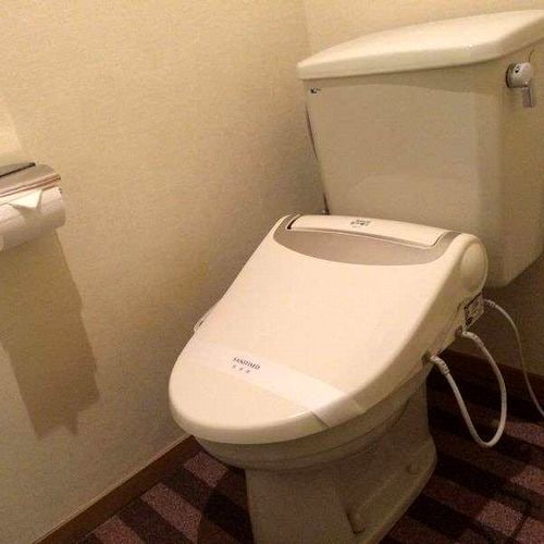 In-room toilet