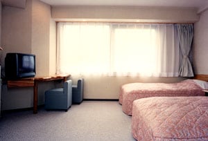 Room example (Western room)
