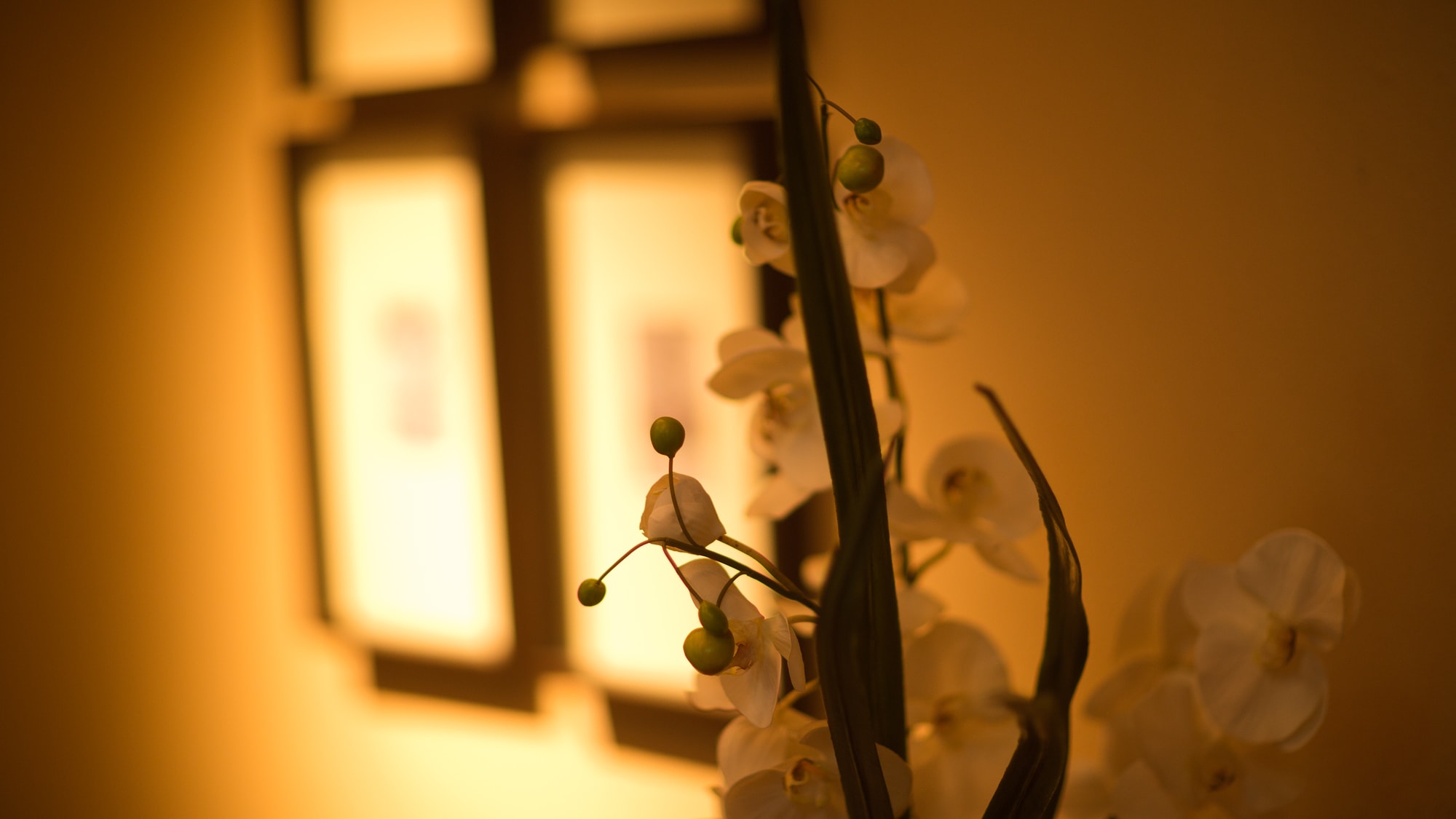 Kế hoạch đảm bảo tầng cao