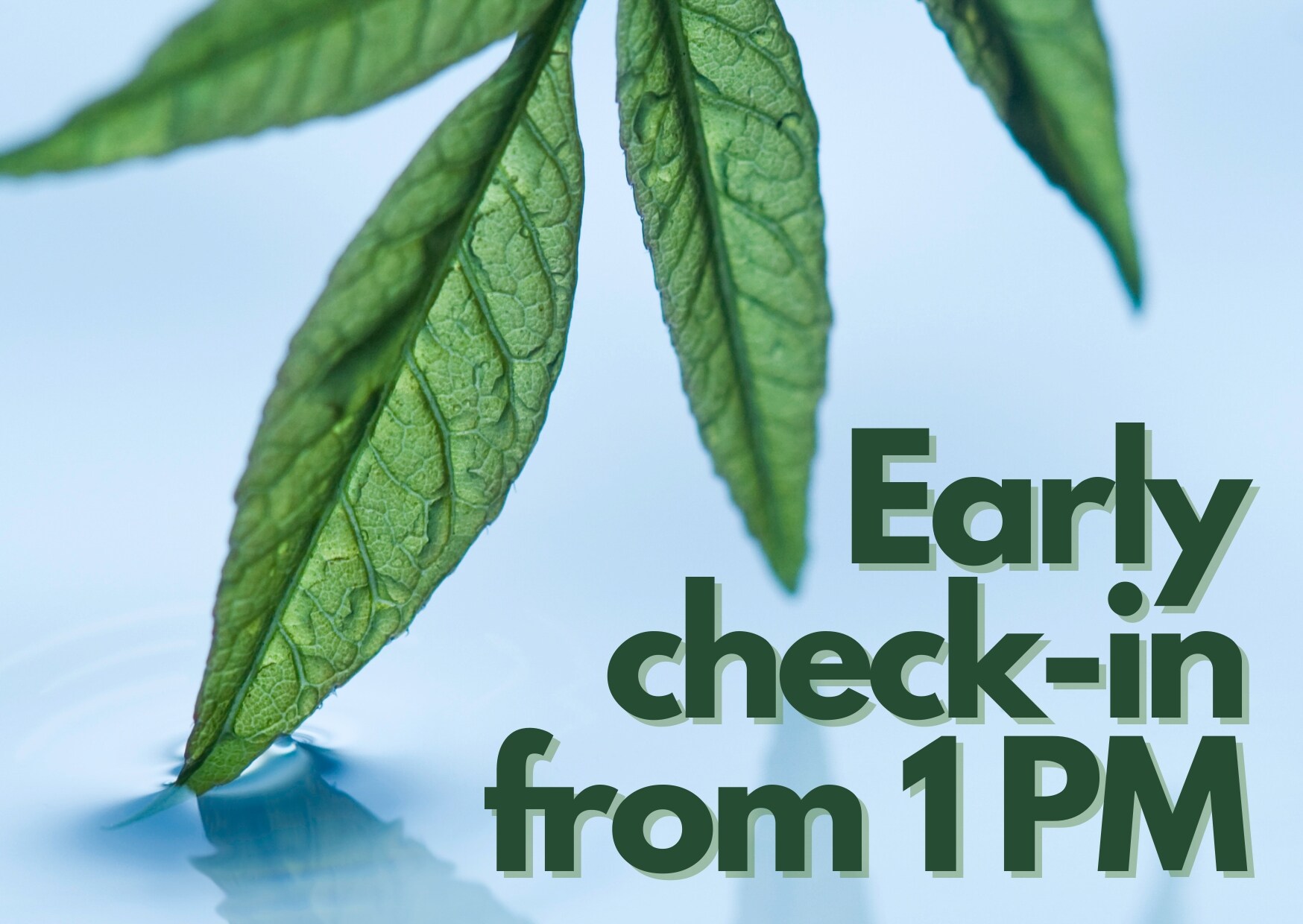 Early check-in and mineral water included
