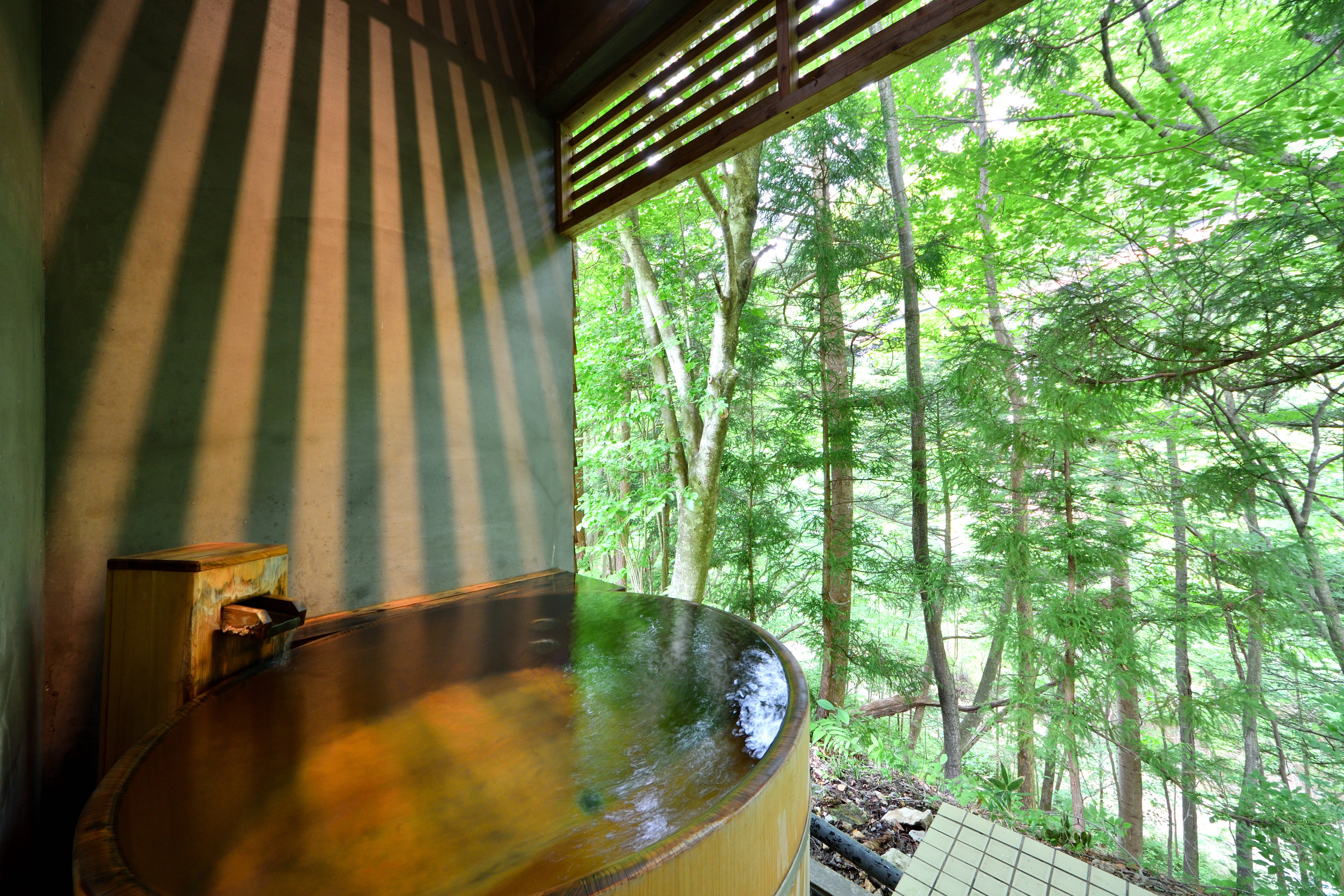 Hot Springs: Little Garden: Summer