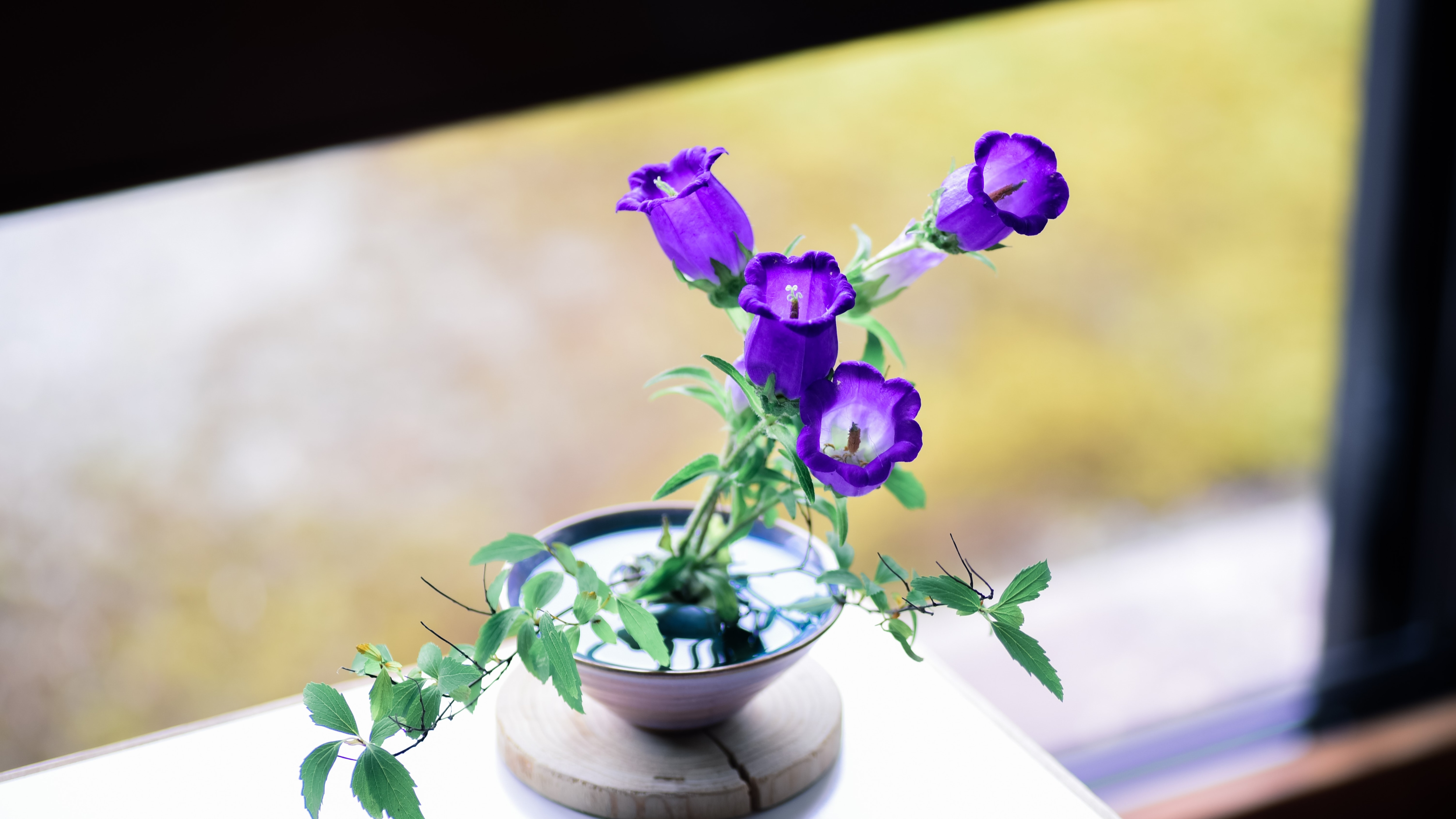 Ikebana in the hall